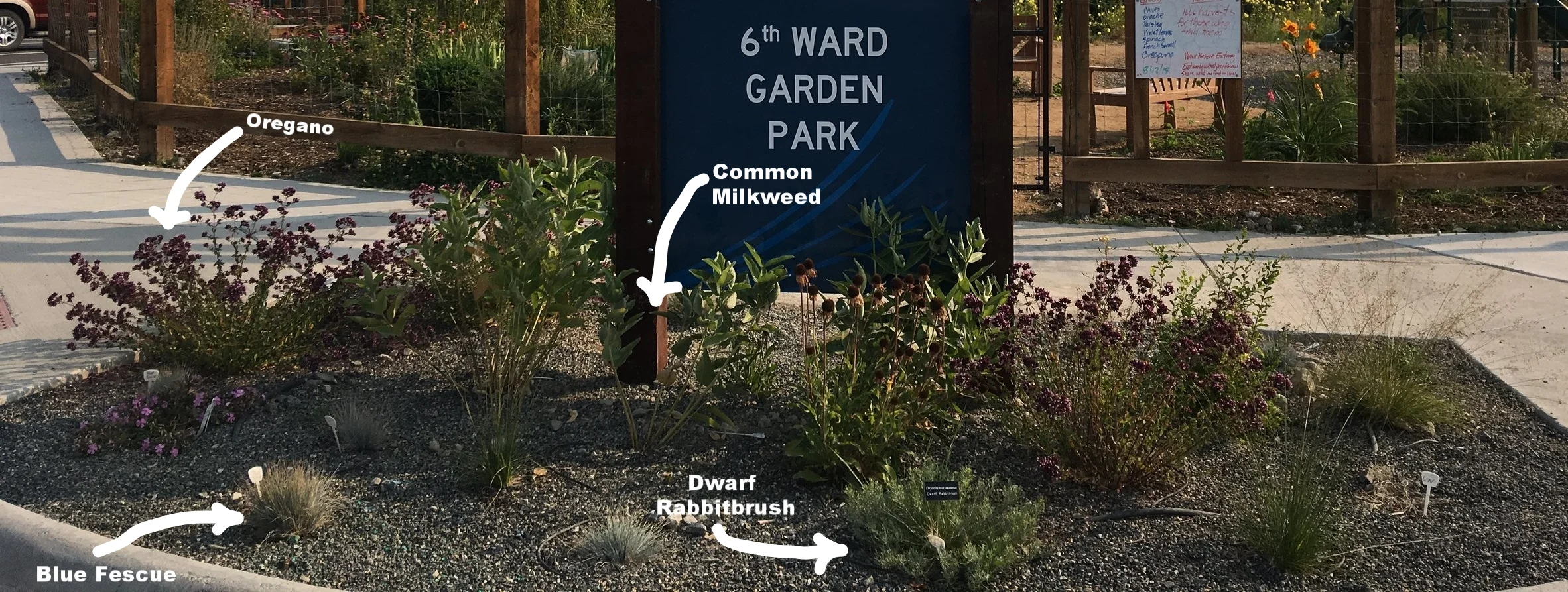 ParkSign2.jpg