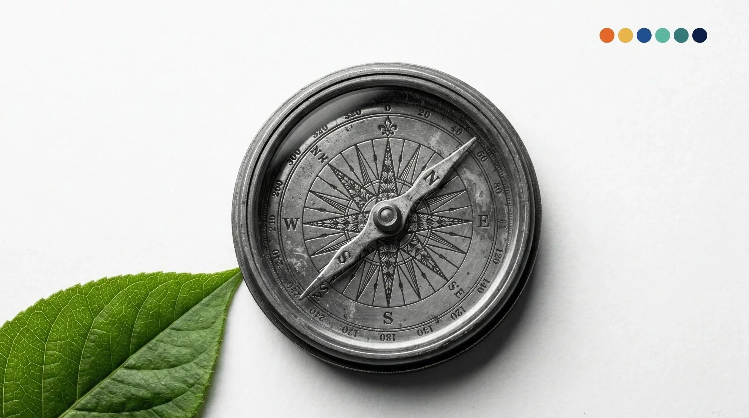 HBR's Sustainability Research — What the MCM Compass Shows