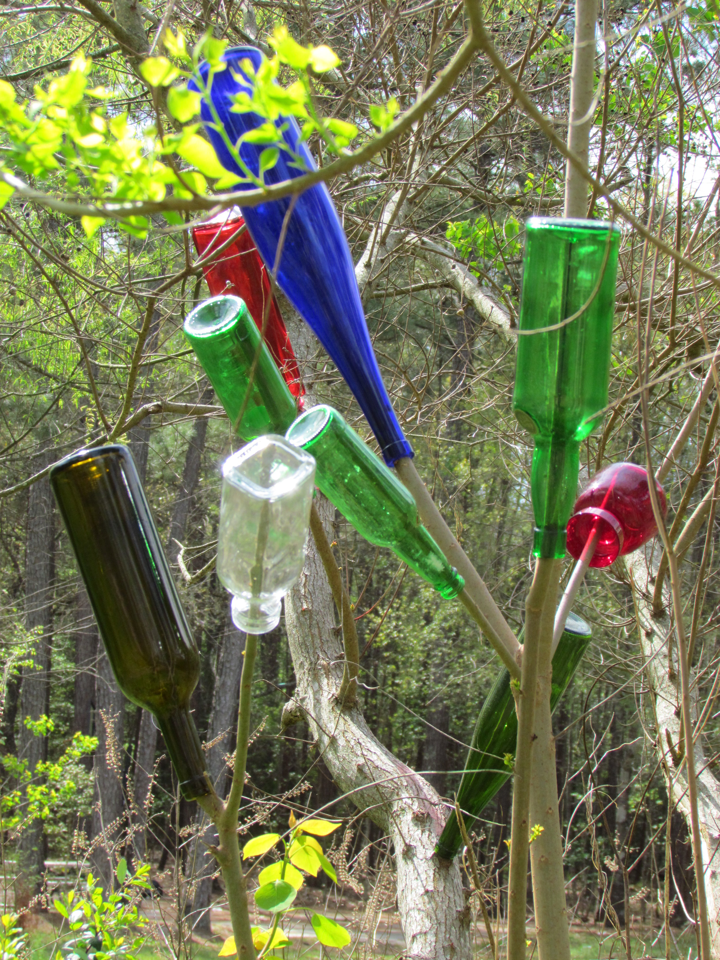 Bottle Tree.JPG