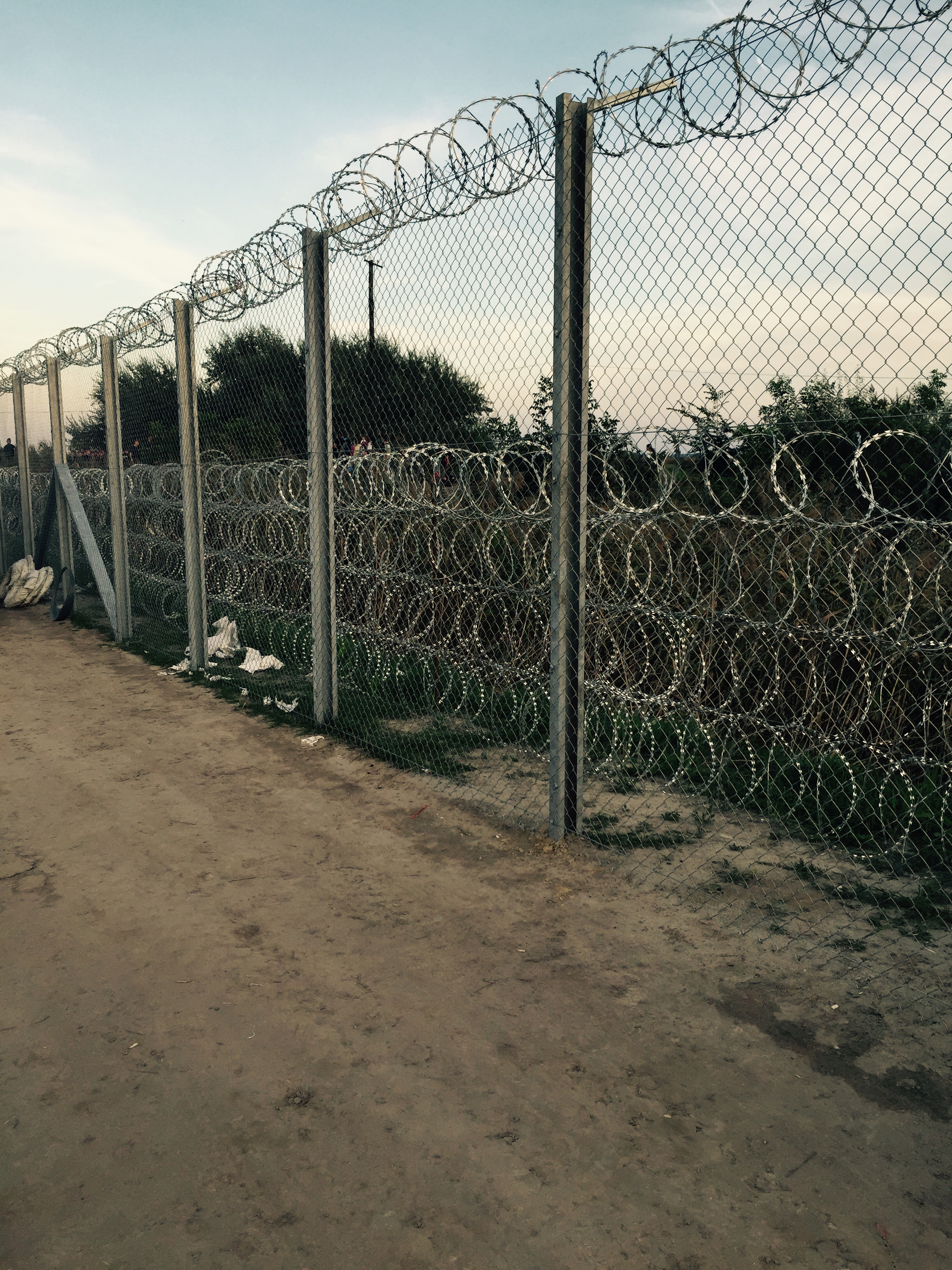 1.-The-Fence.jpg