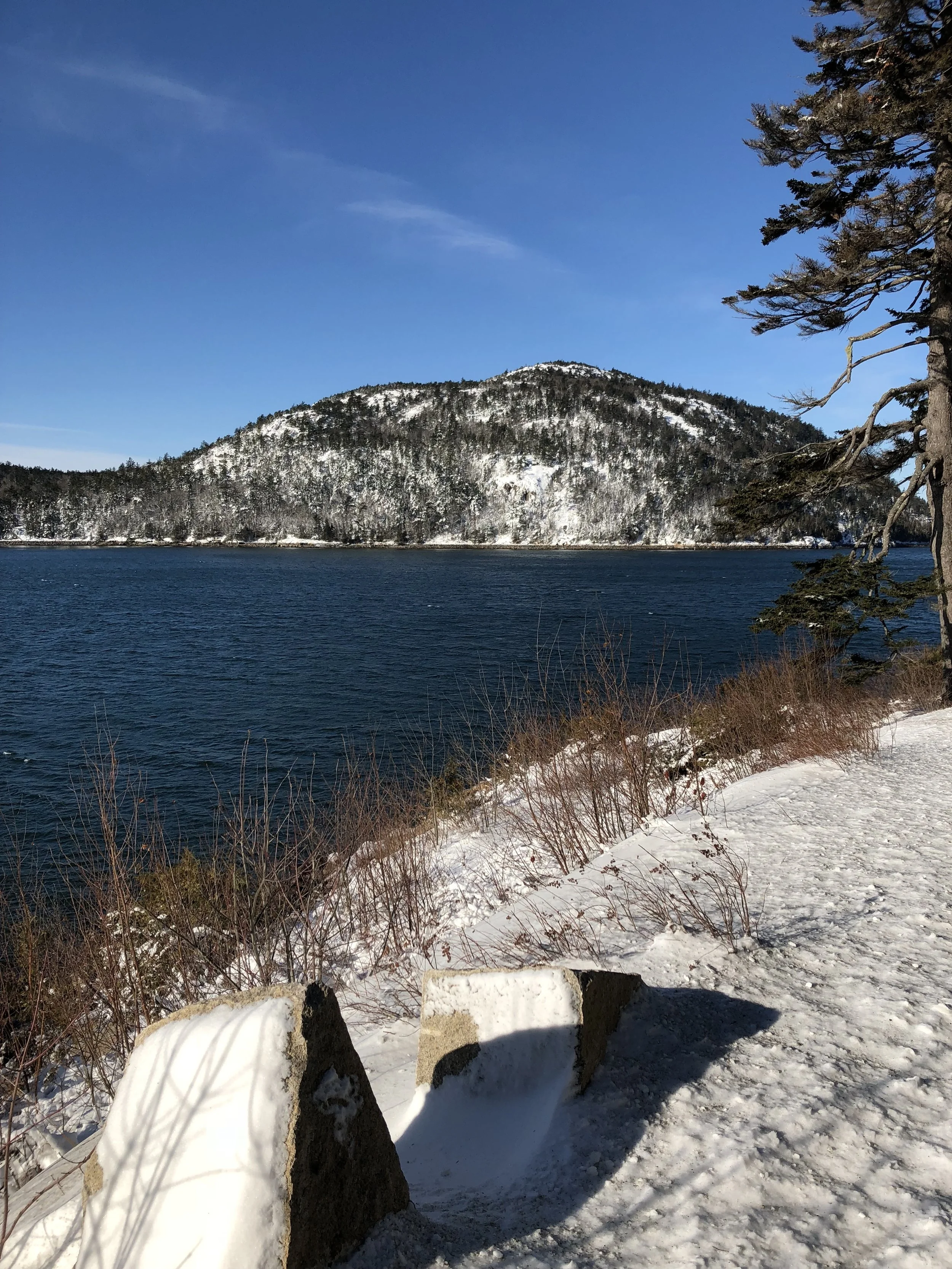 Looking across Somes Sound to Acadia Mountain