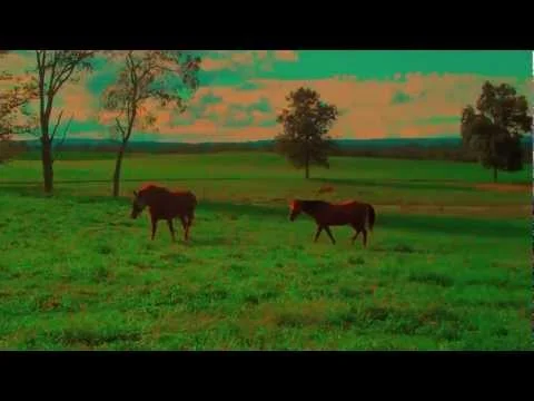 Snowyman (Delicate Steve Remix) by Saadi (Official Music Video)