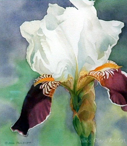 Graceful Watercolor by Alice Olson Seufert
