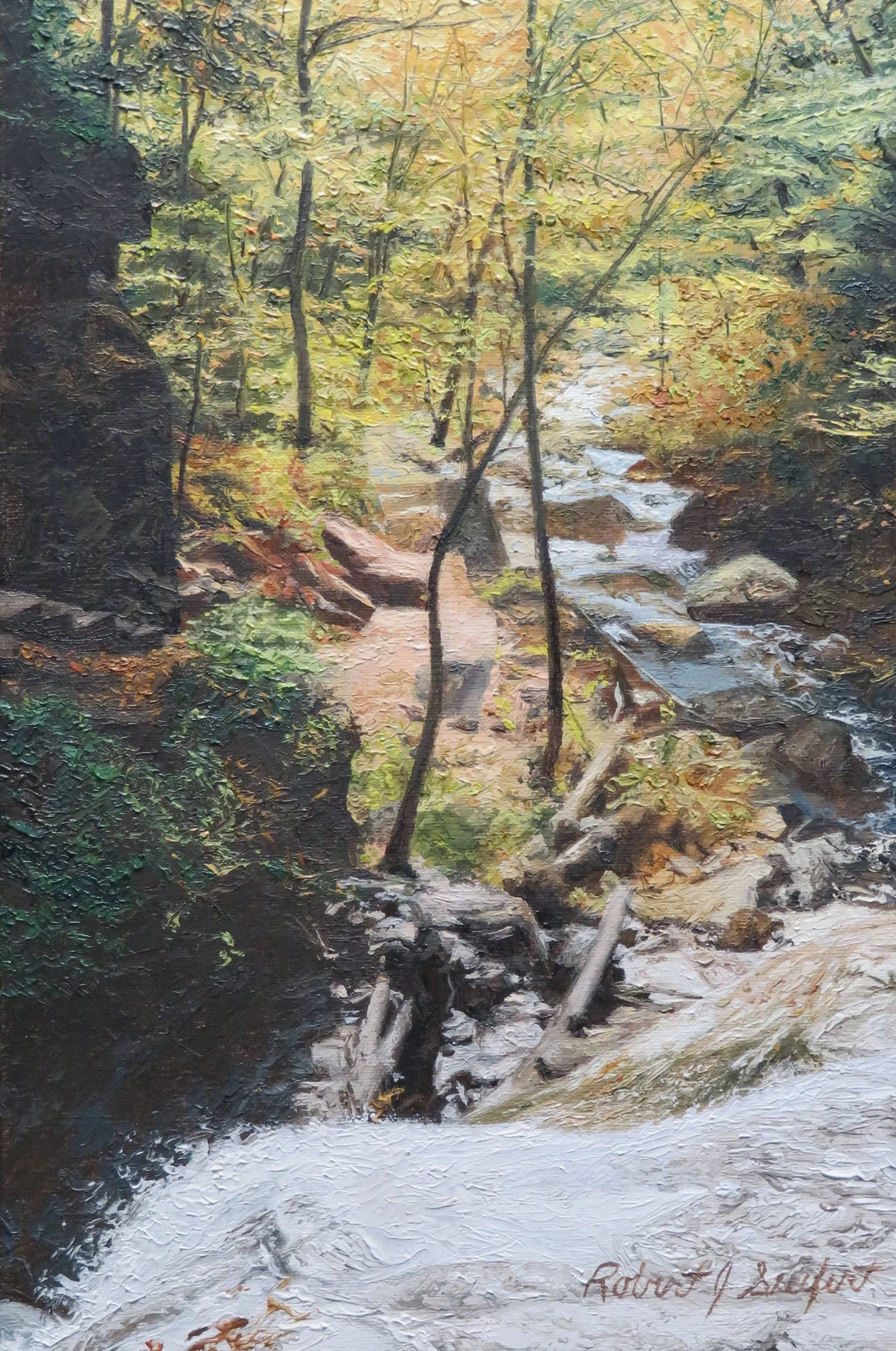 Falls at Rickett's Glen XIII