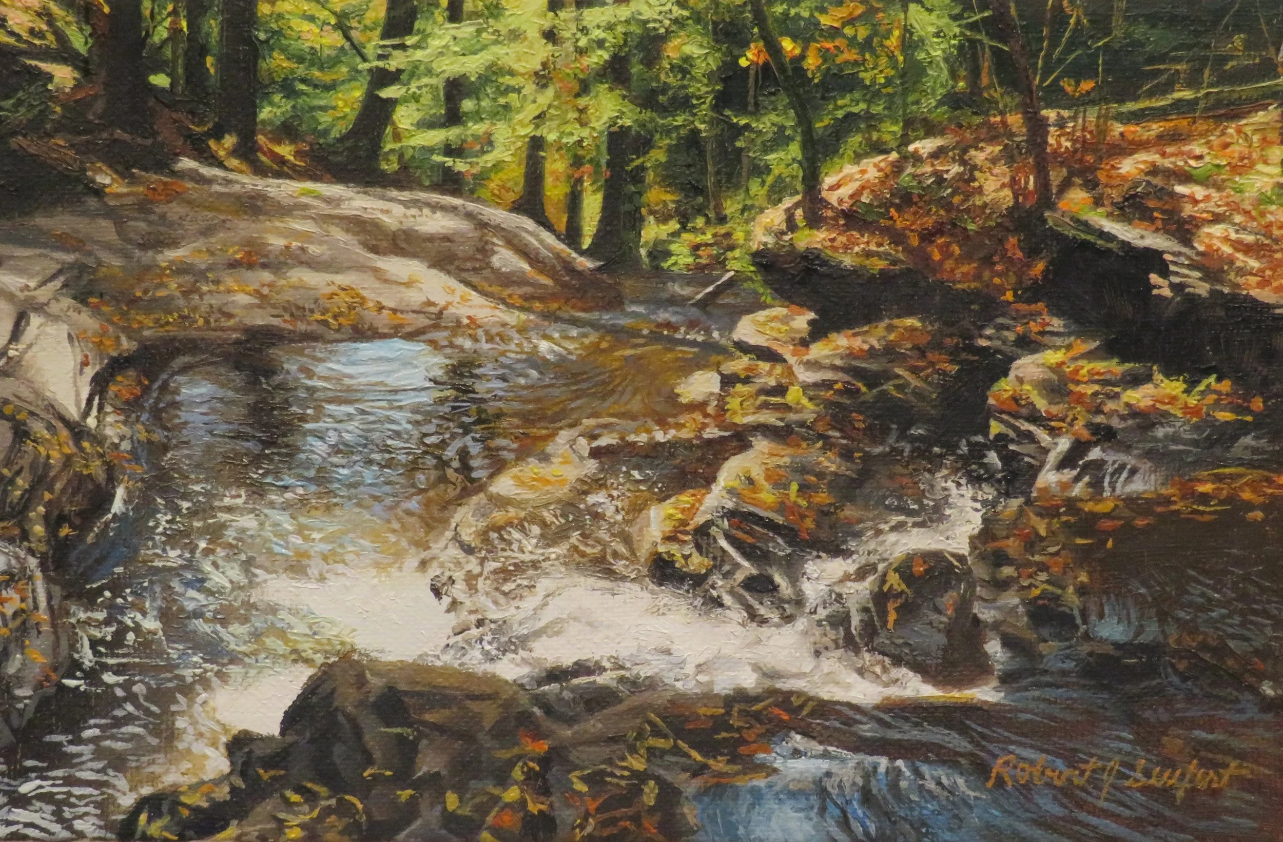 Falls at Rickett's Glen XII