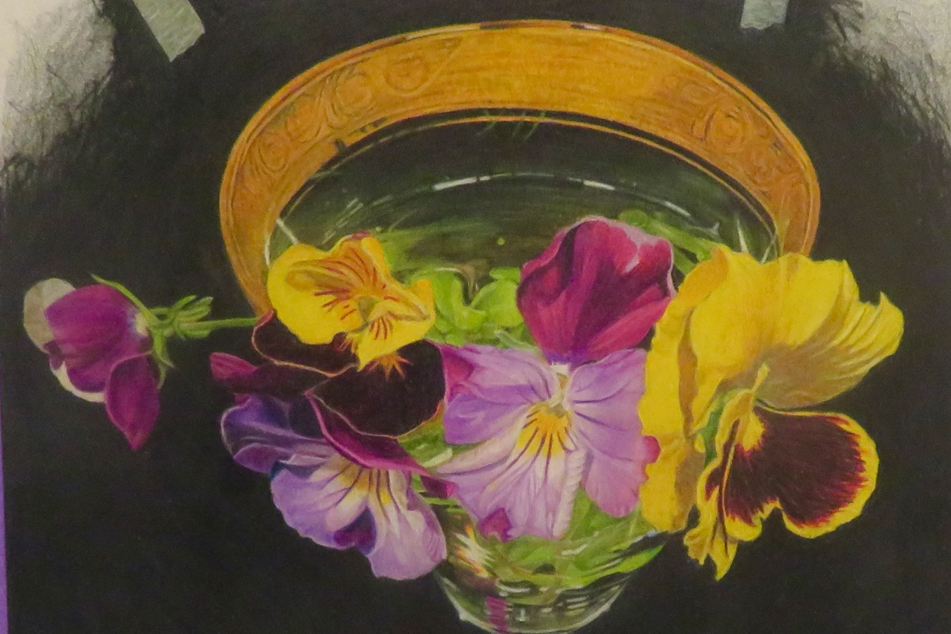 Drawing in Colored Pencil 