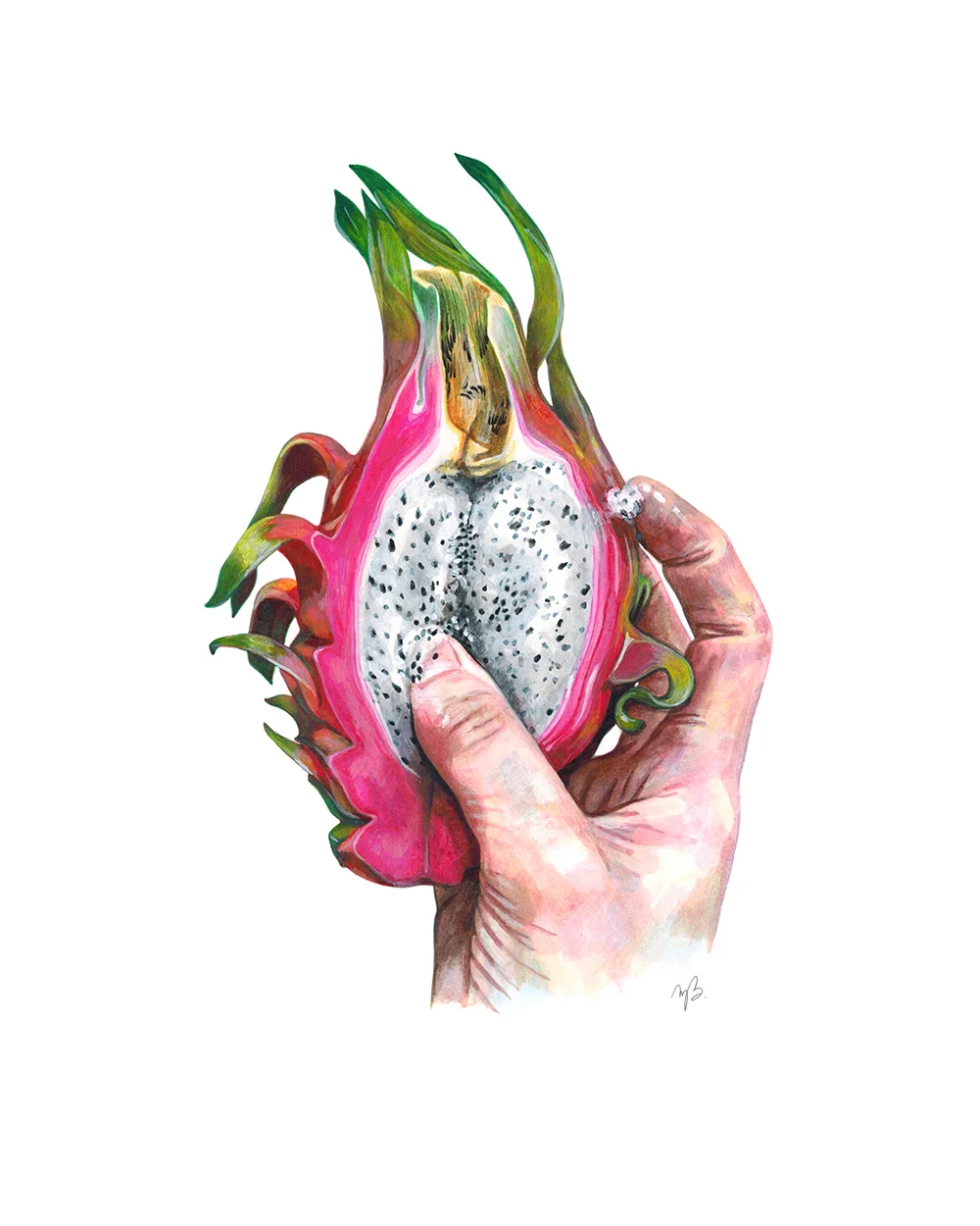 Art Print_DRAGON FRUIT 1_WEB.jpeg