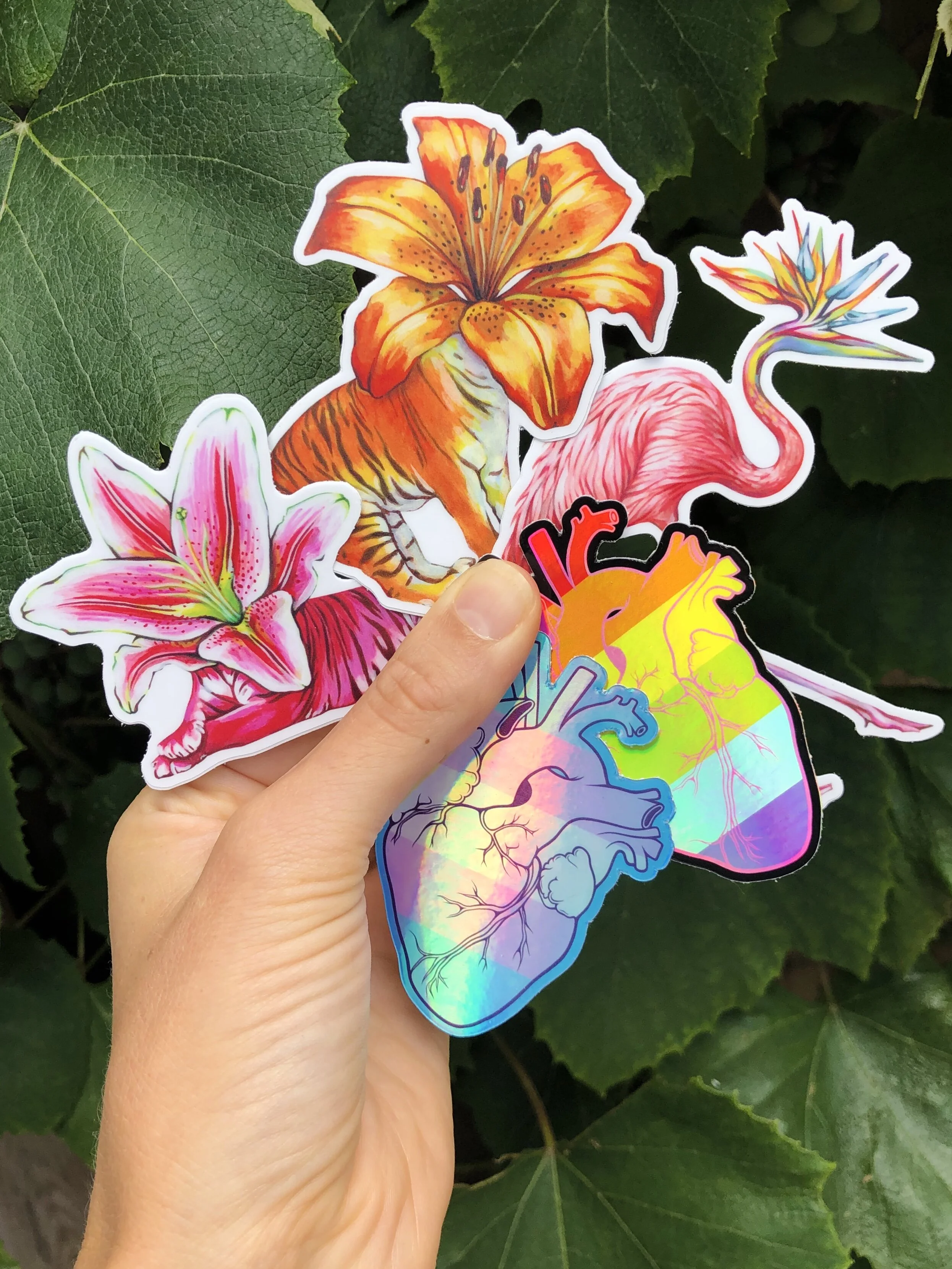 60EF9864-A98B-42AA-ABD2-4EFC33BB3C31