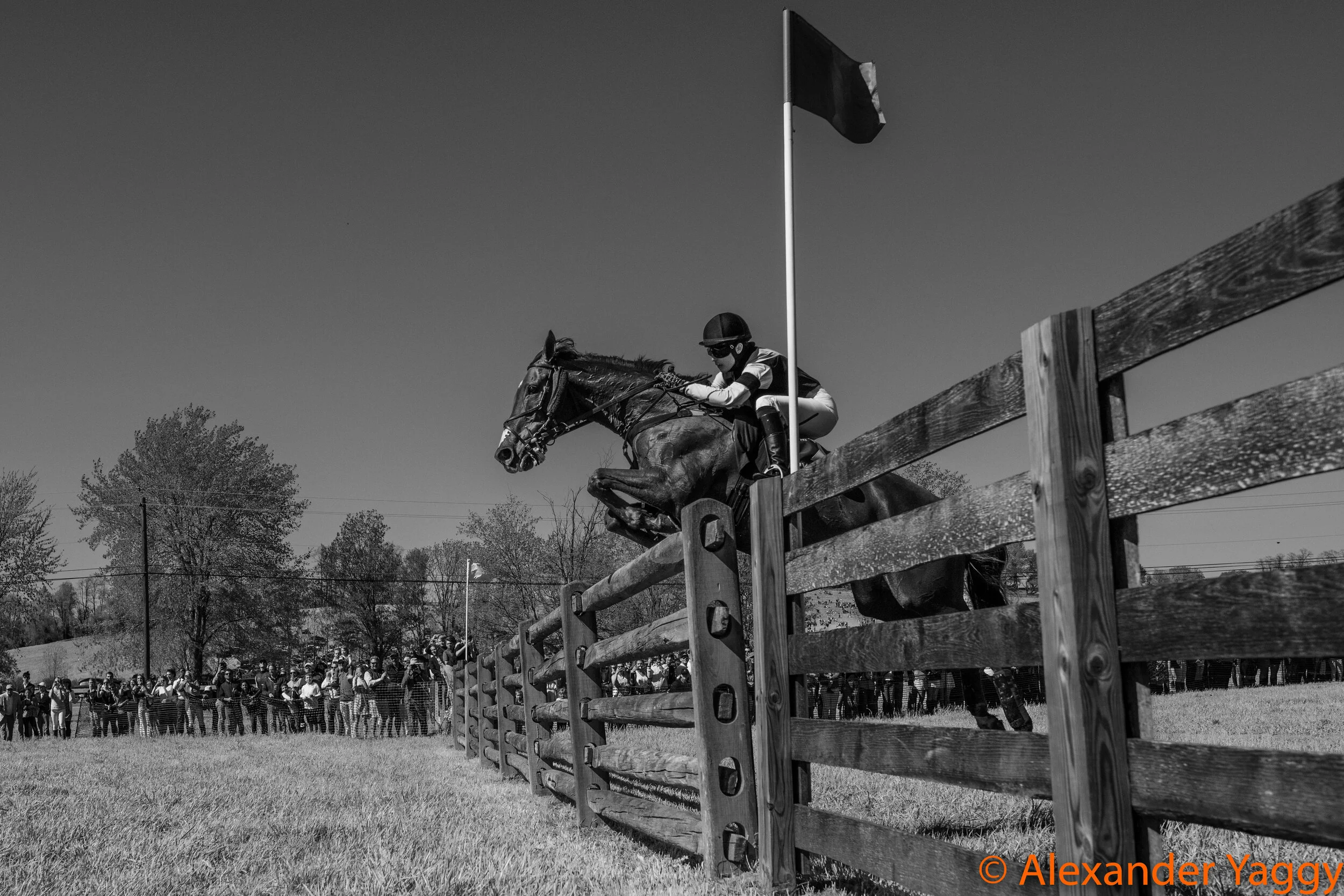 Hunt_Cup_2019-37.jpg