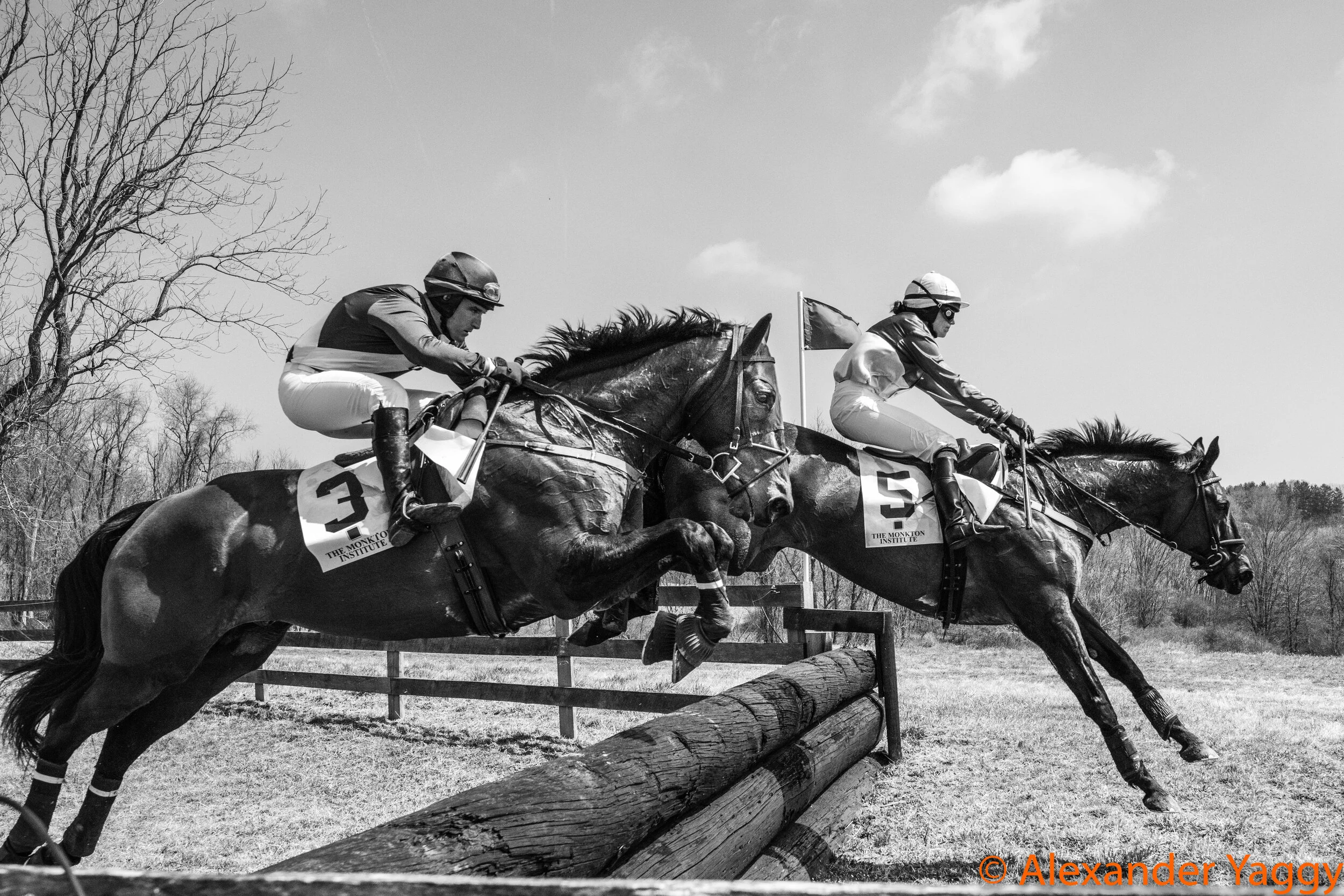 Elkridge-Harford_2019-28.jpg