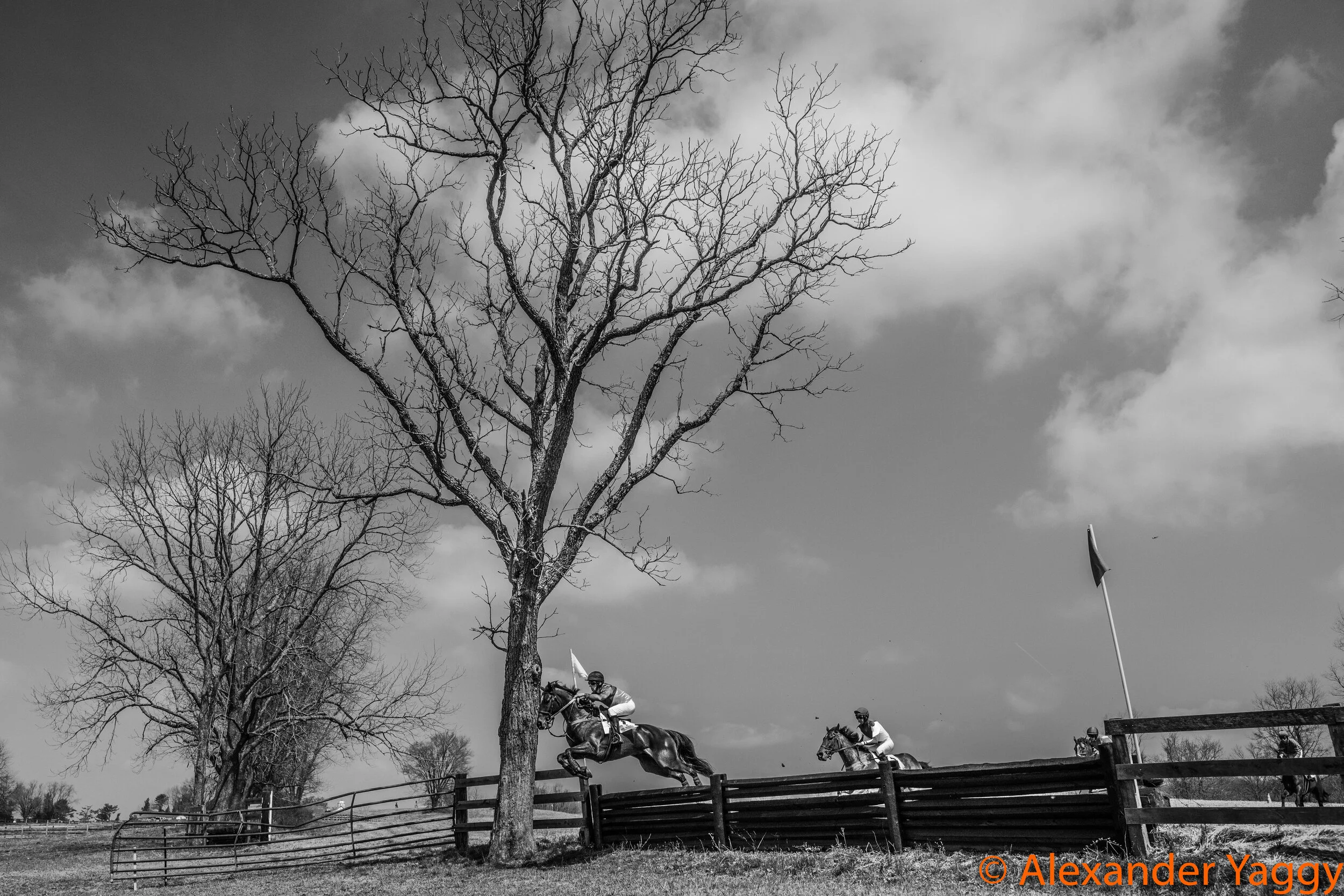 Elkridge-Harford_2019-34.jpg