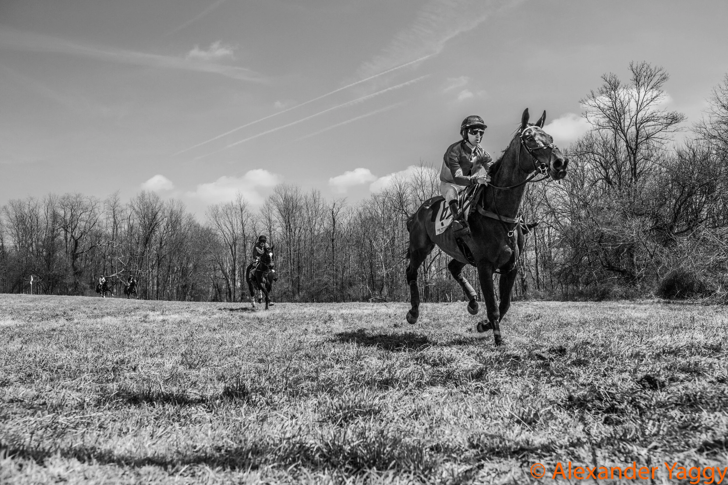 Elkridge-Harford_2019-50.jpg