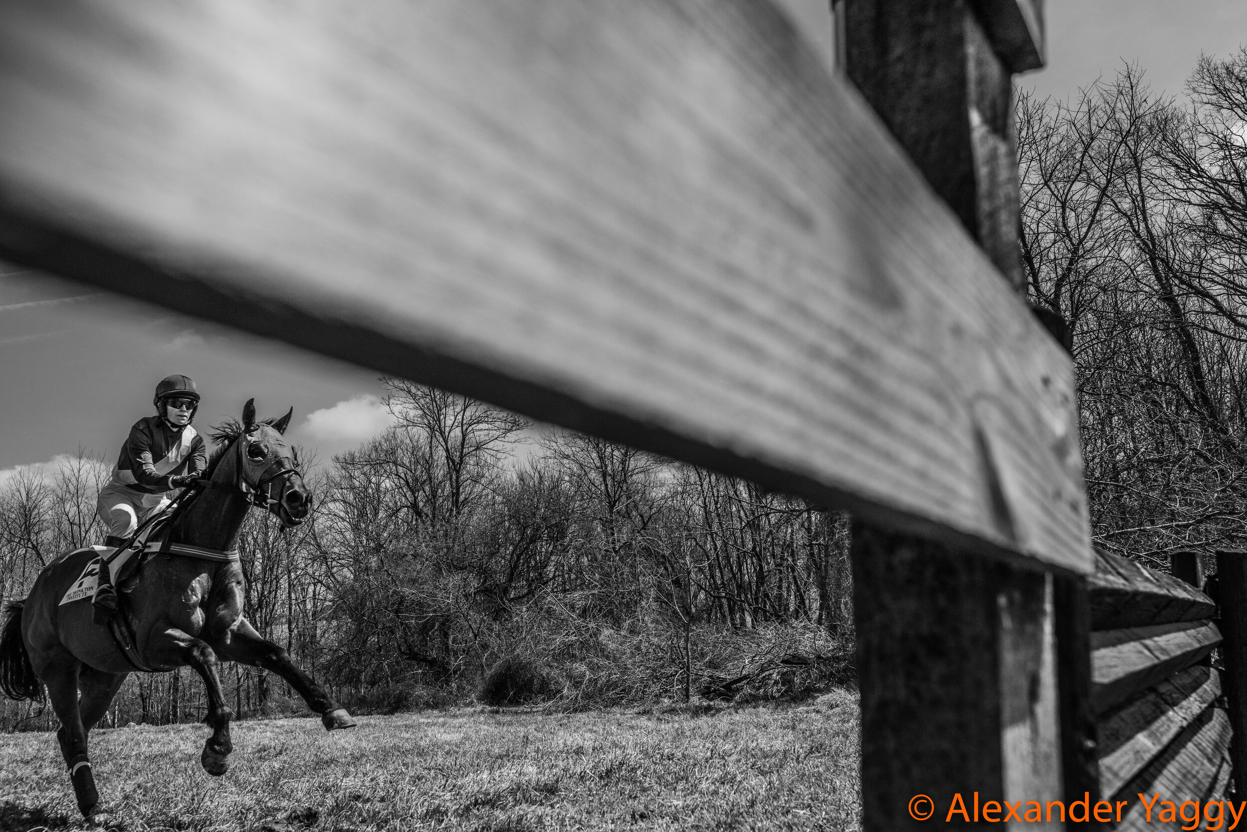 Elkridge-Harford_2019-52.jpg