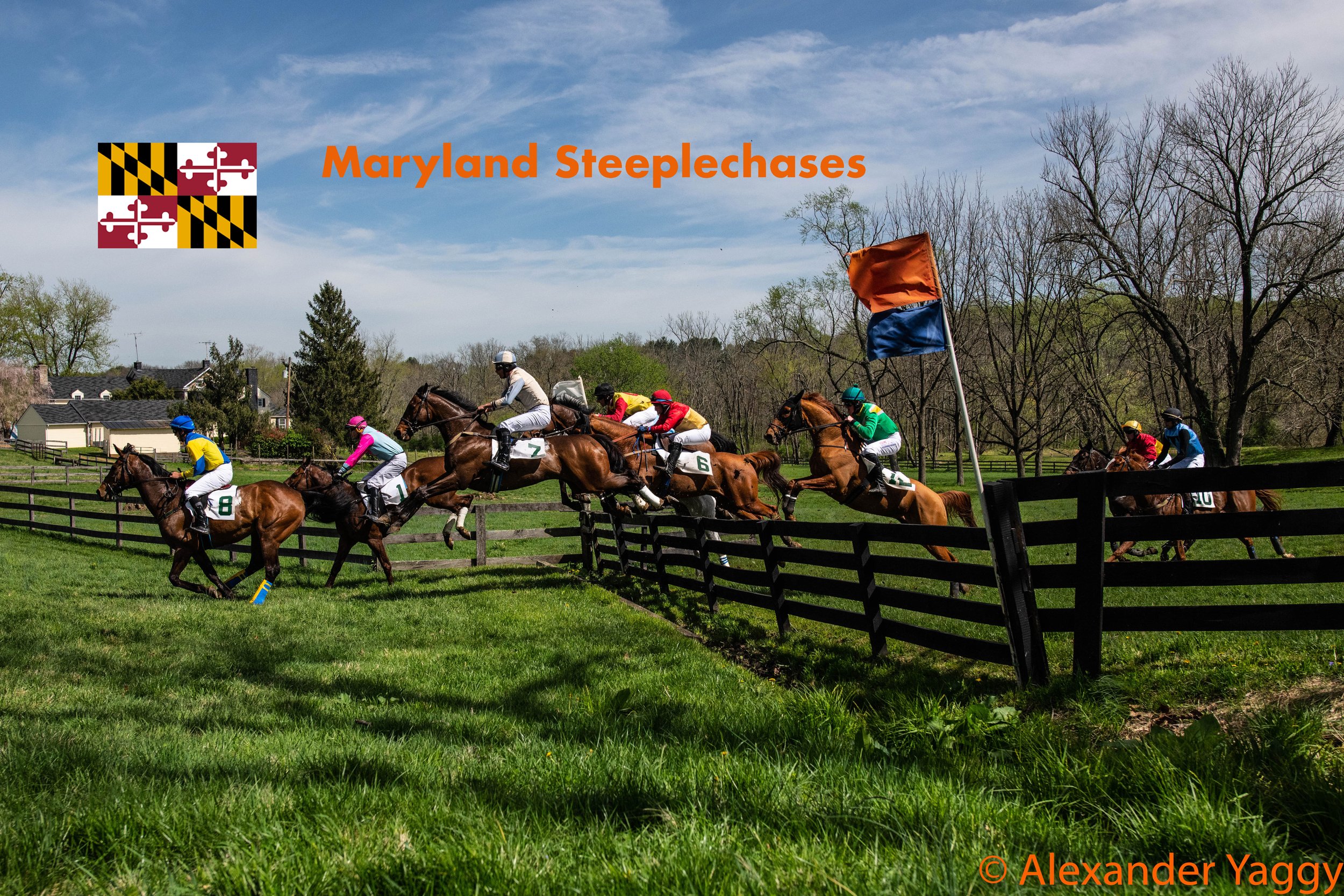 The 2019 Maryland Steeplechases Story