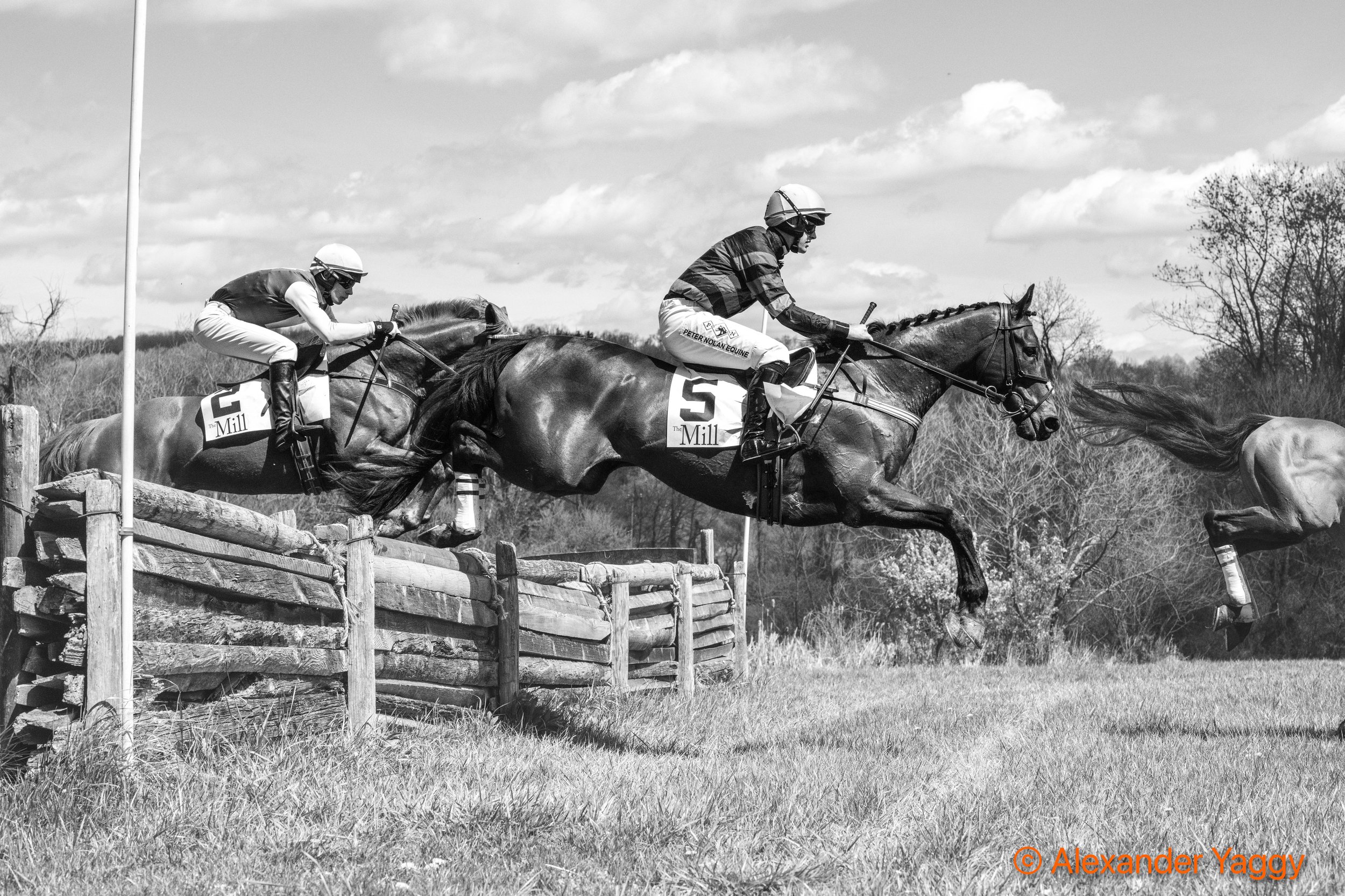 #5 Huyana ridden by Dan Nevin