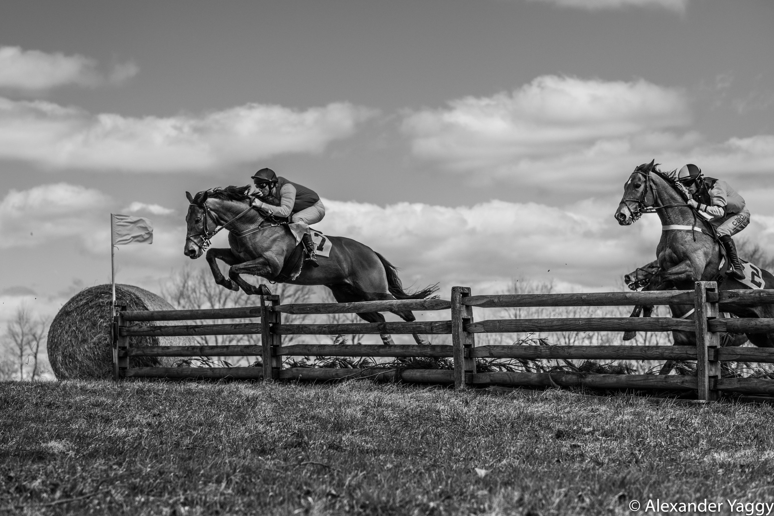 Greenspring point to point 2019-7.jpg