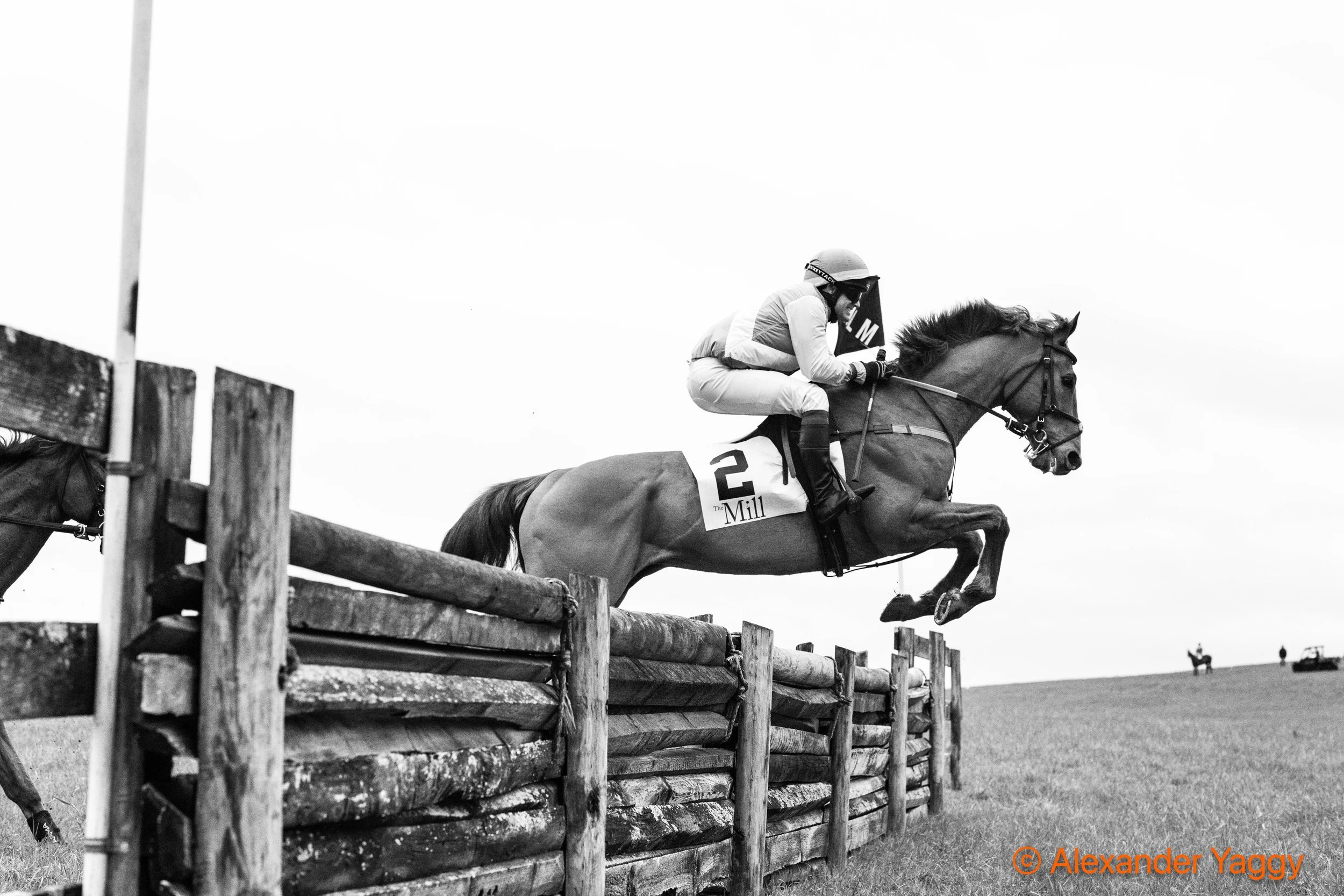 MLM 2025_Color-12.jpg