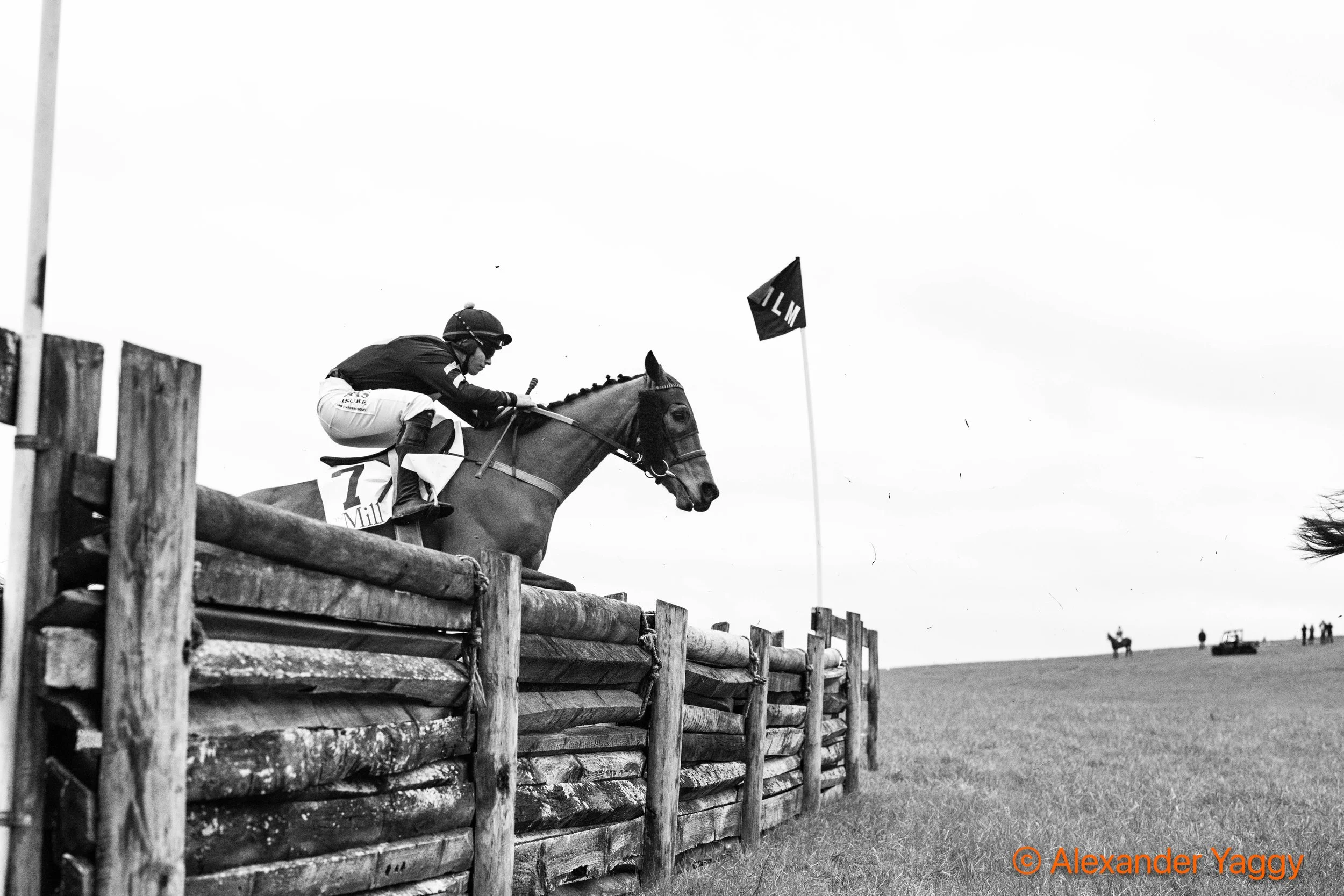 MLM 2025_Color-16.jpg