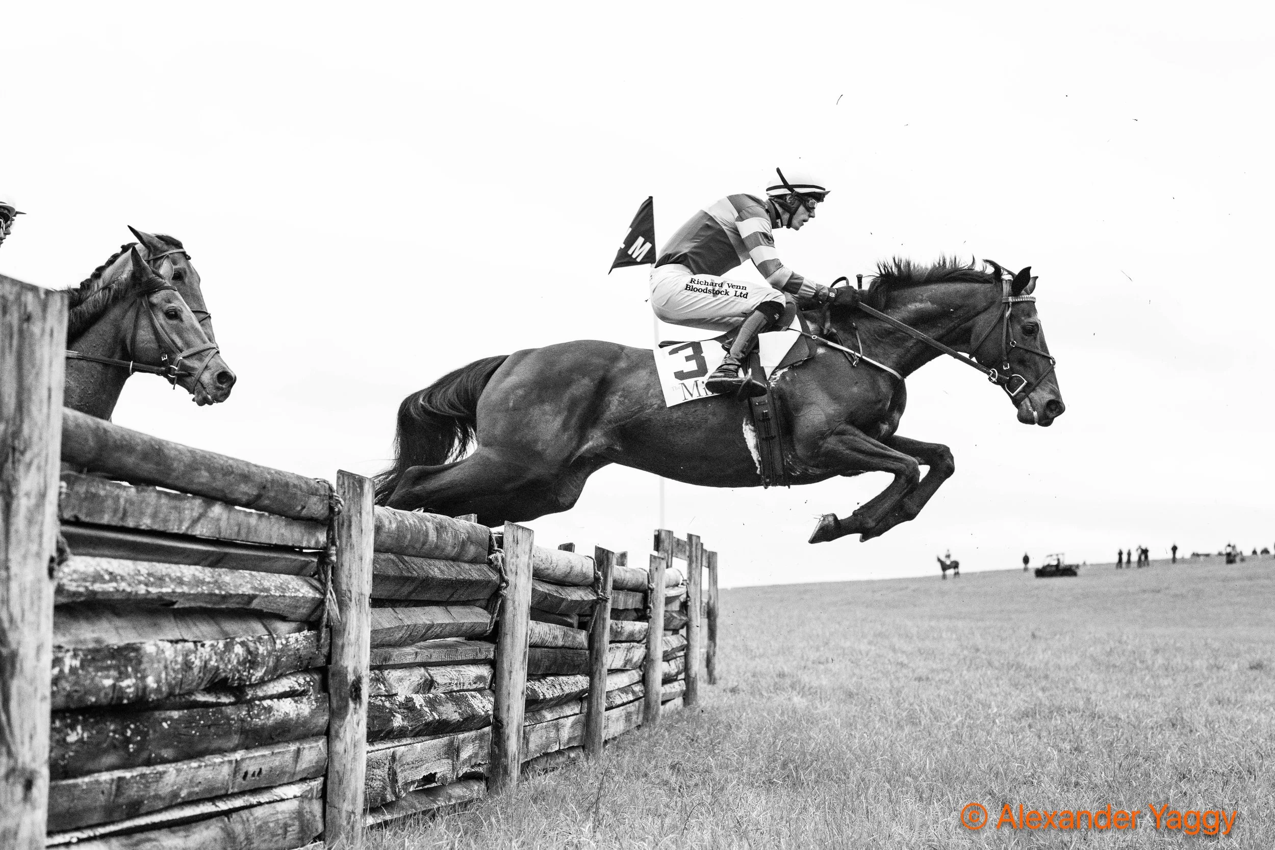 MLM 2025_Color-20.jpg