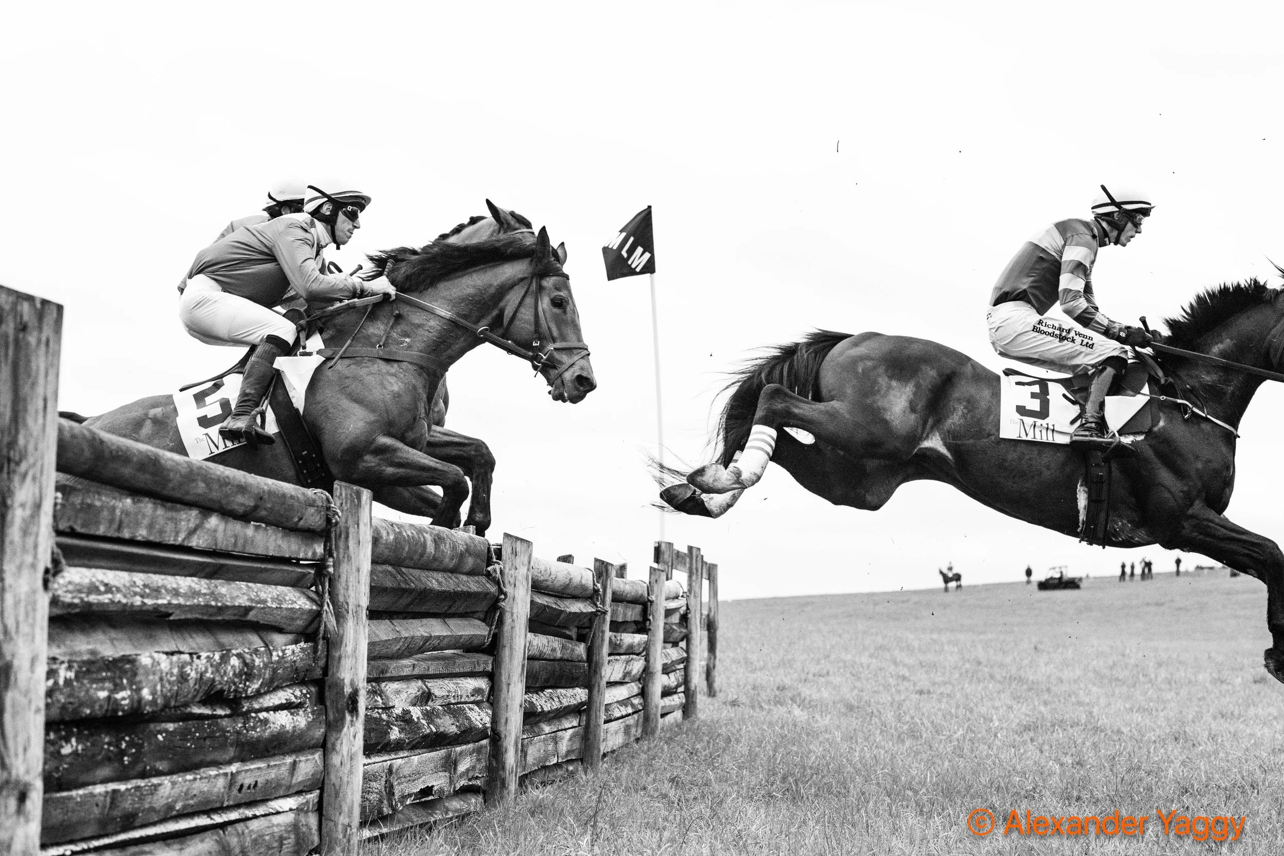 MLM 2025_Color-21.jpg