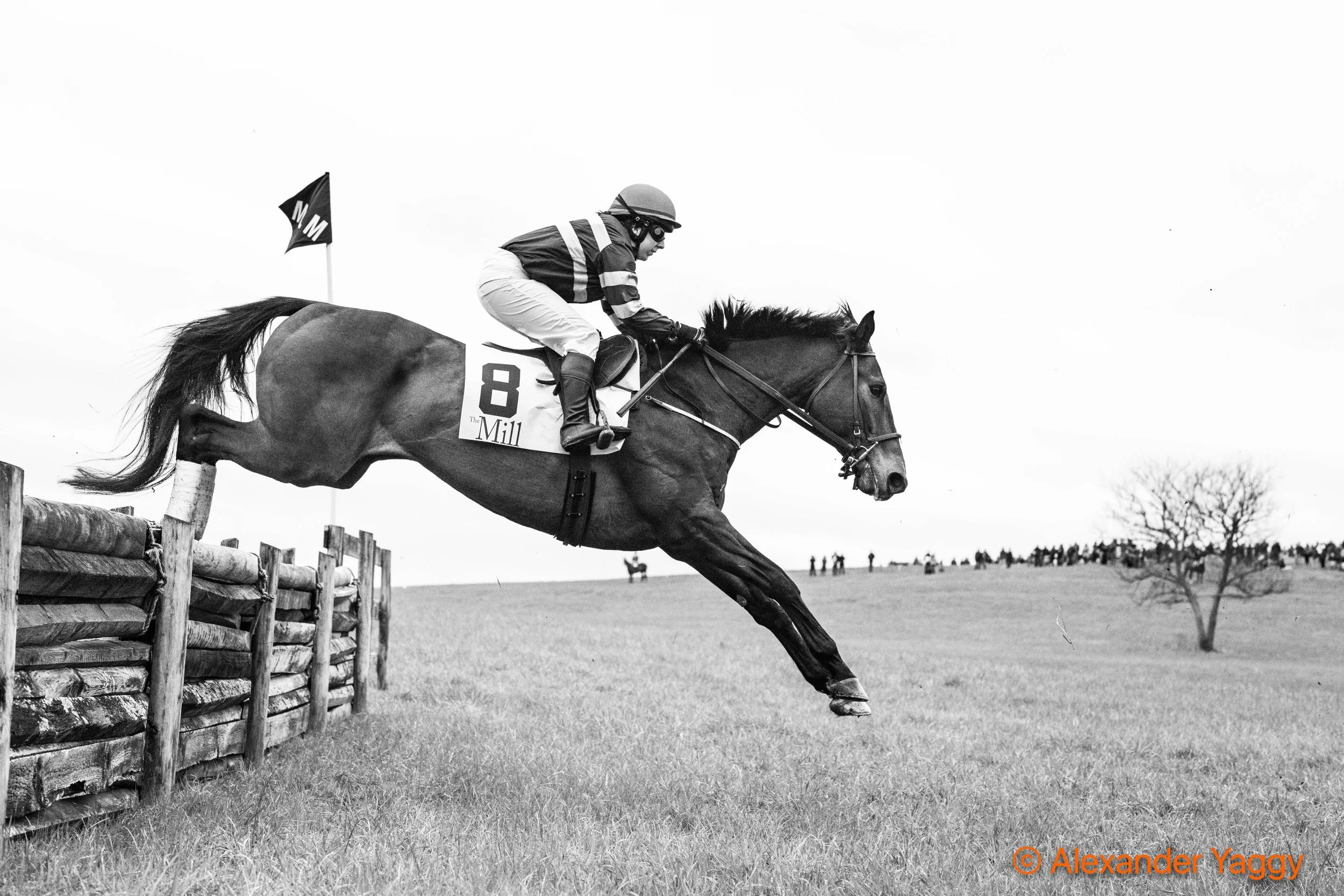 MLM 2025_Color-25.jpg