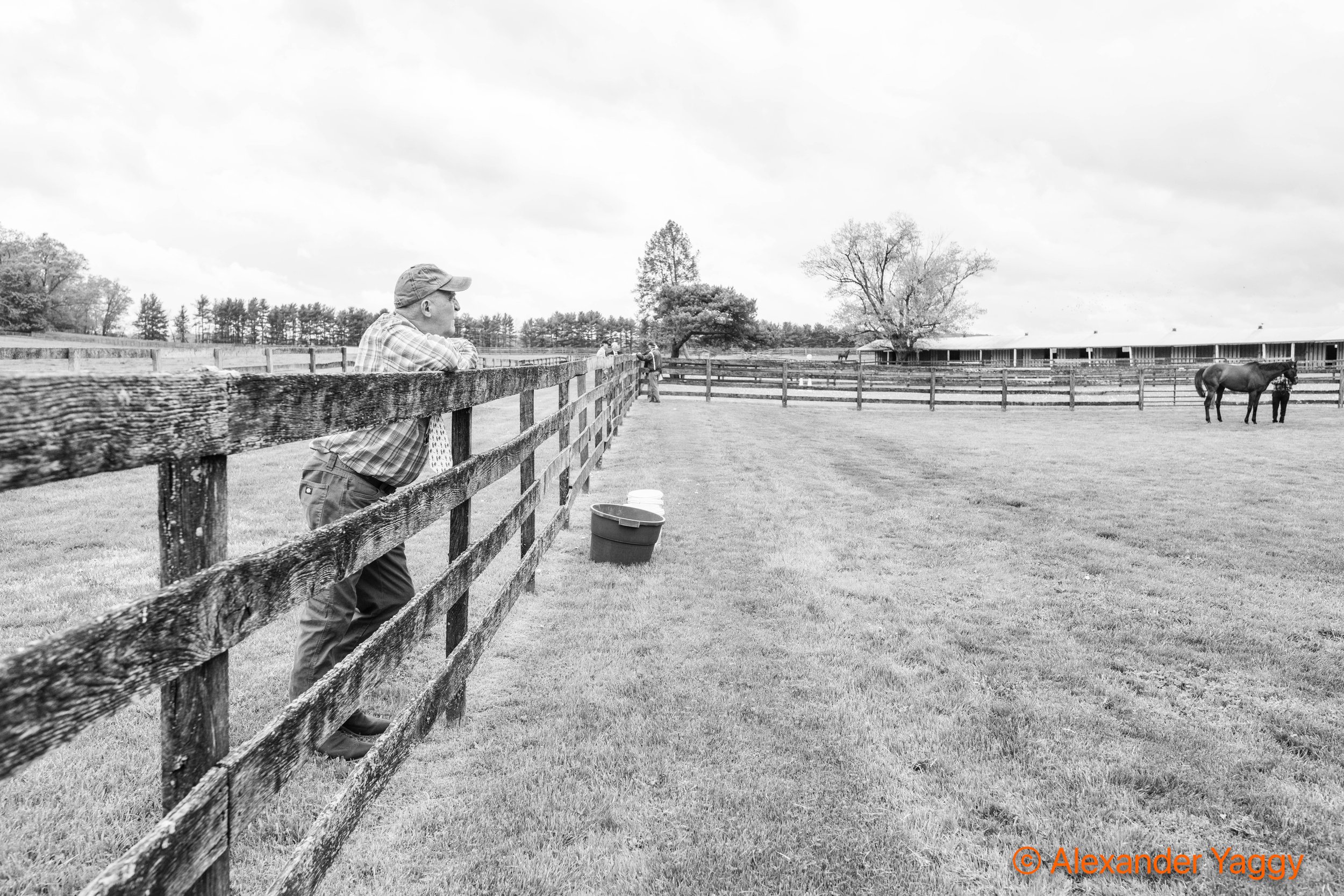 MD Hunt Cup 2025-16.jpg