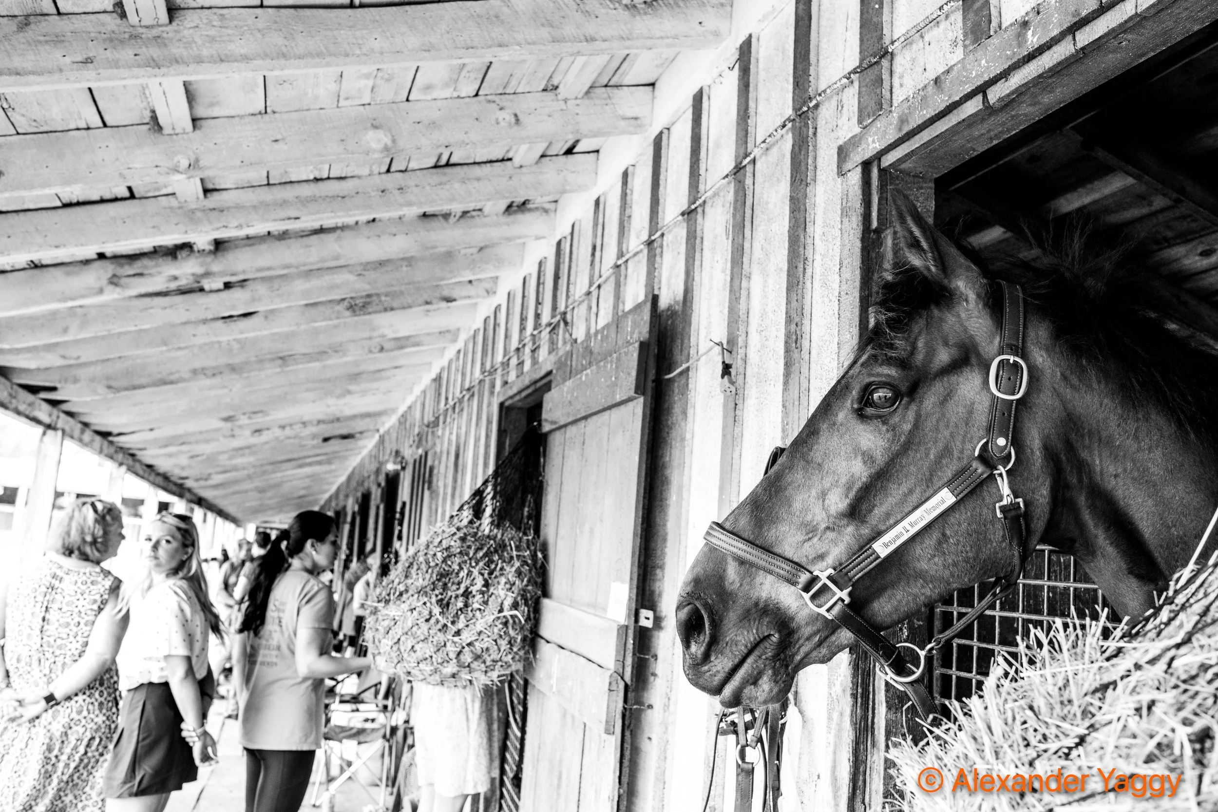 MD Hunt Cup 2025-18.jpg