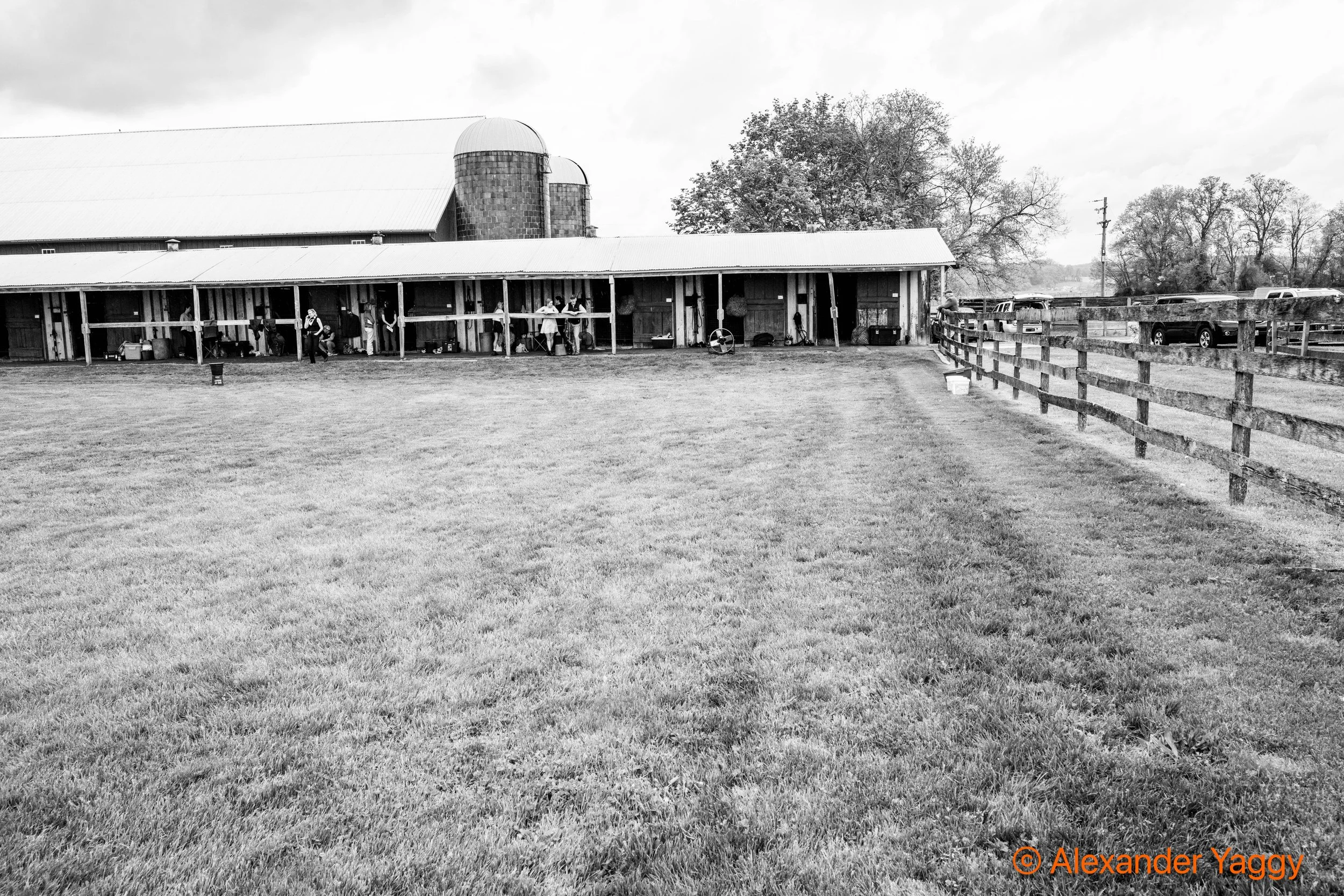 MD Hunt Cup 2025-20.jpg