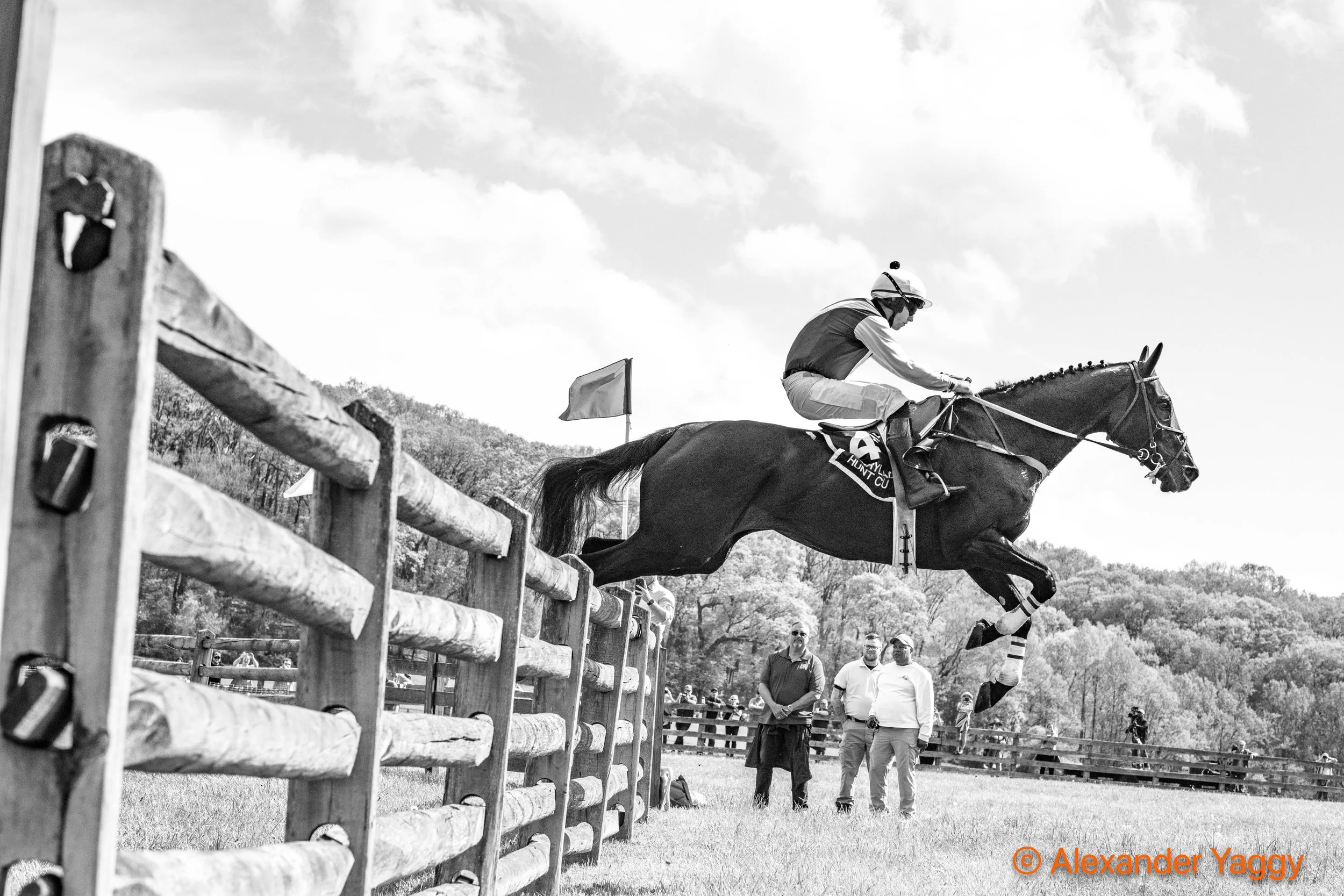 MD Hunt Cup 2025-45.jpg