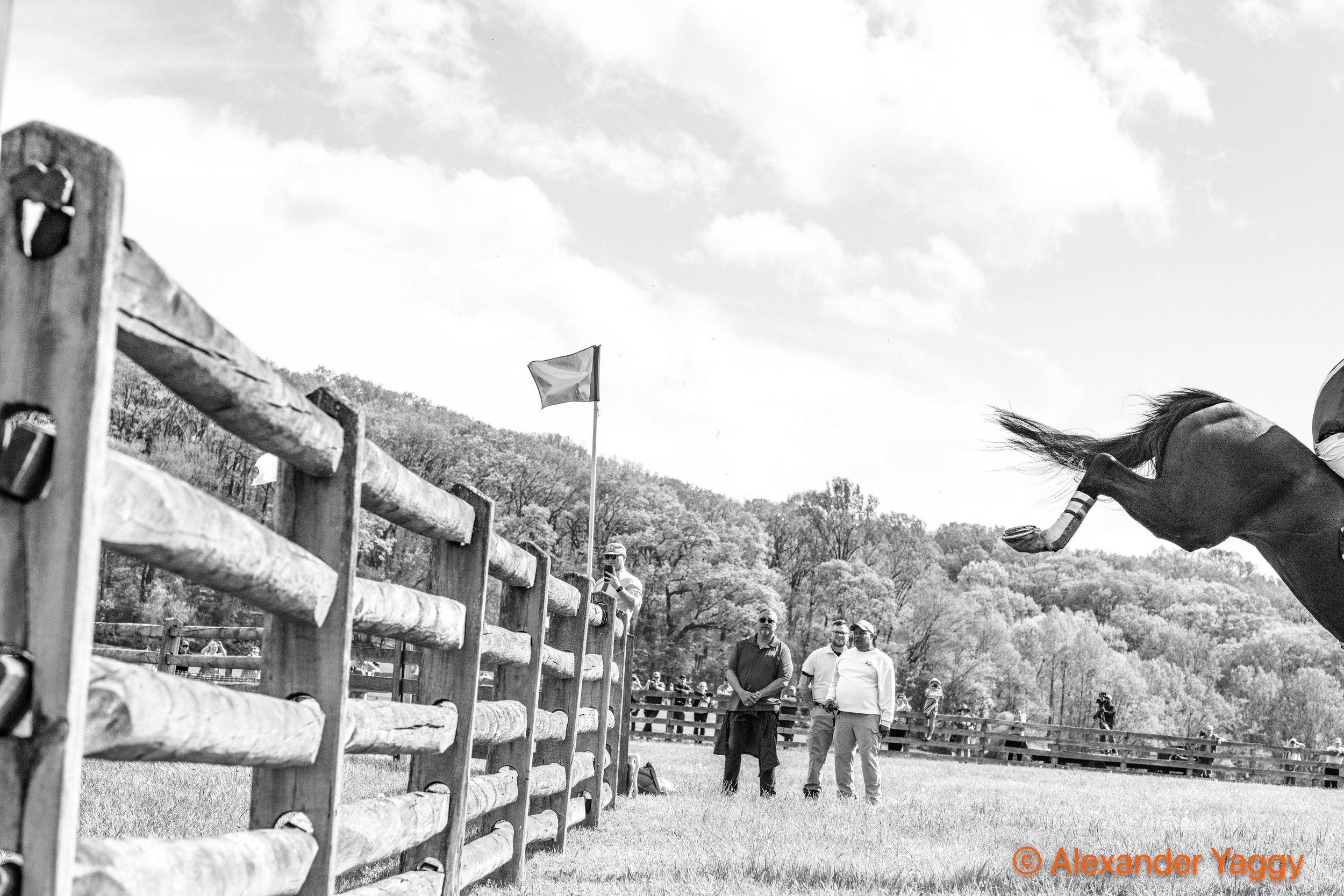 MD Hunt Cup 2025-47.jpg