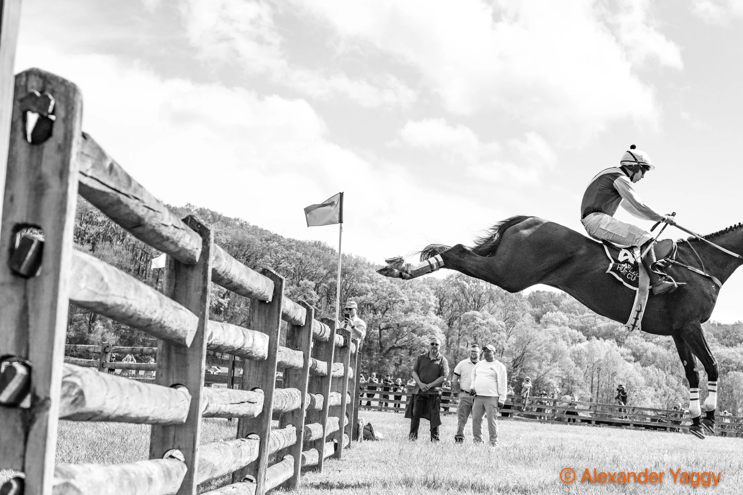 MD Hunt Cup 2025-46.jpg