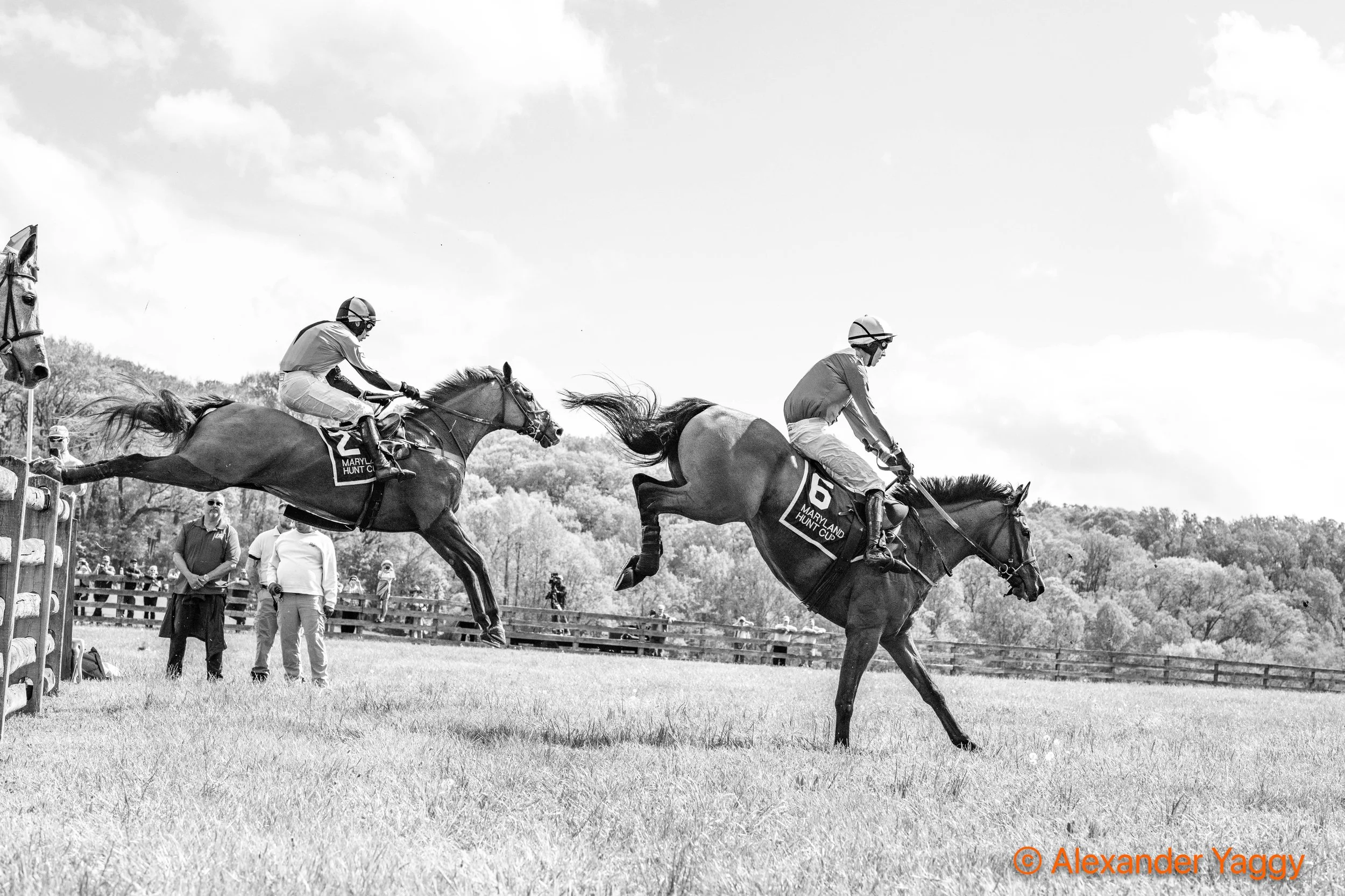 MD Hunt Cup 2025-48.jpg