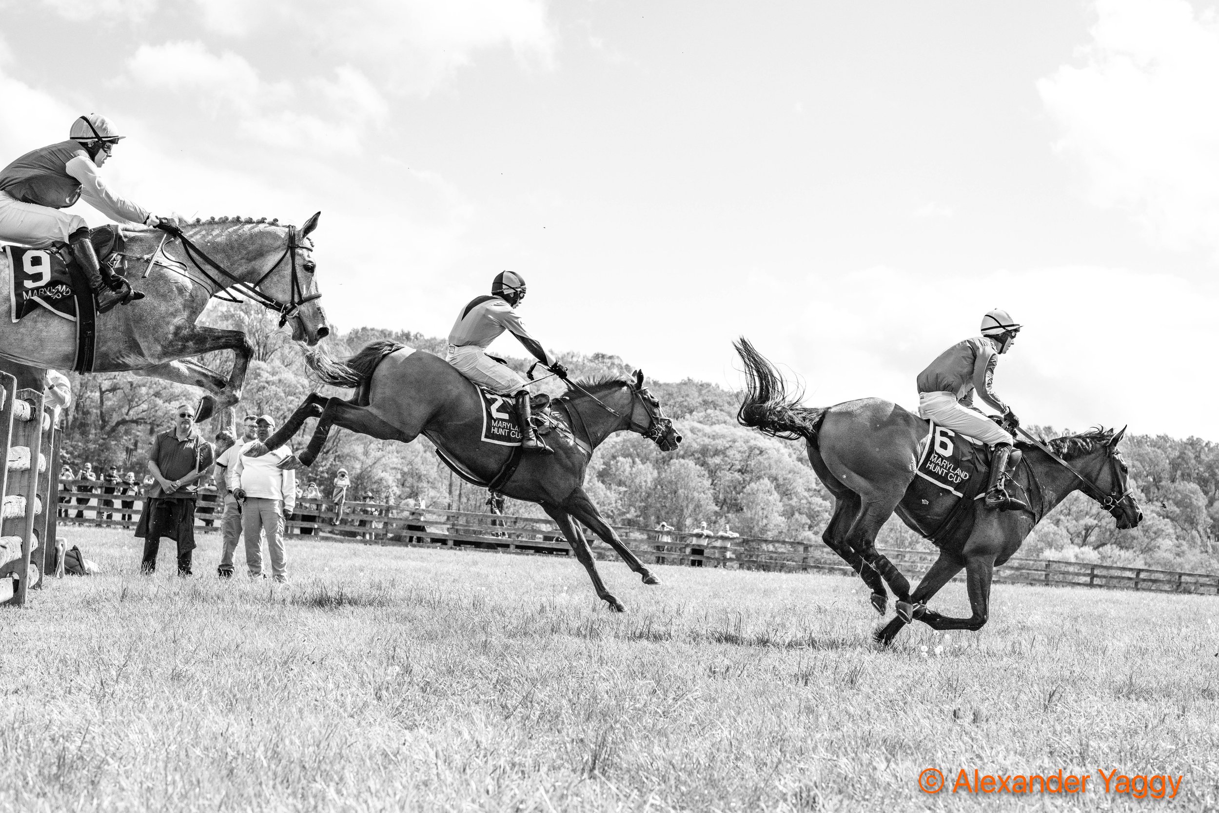 MD Hunt Cup 2025-49.jpg