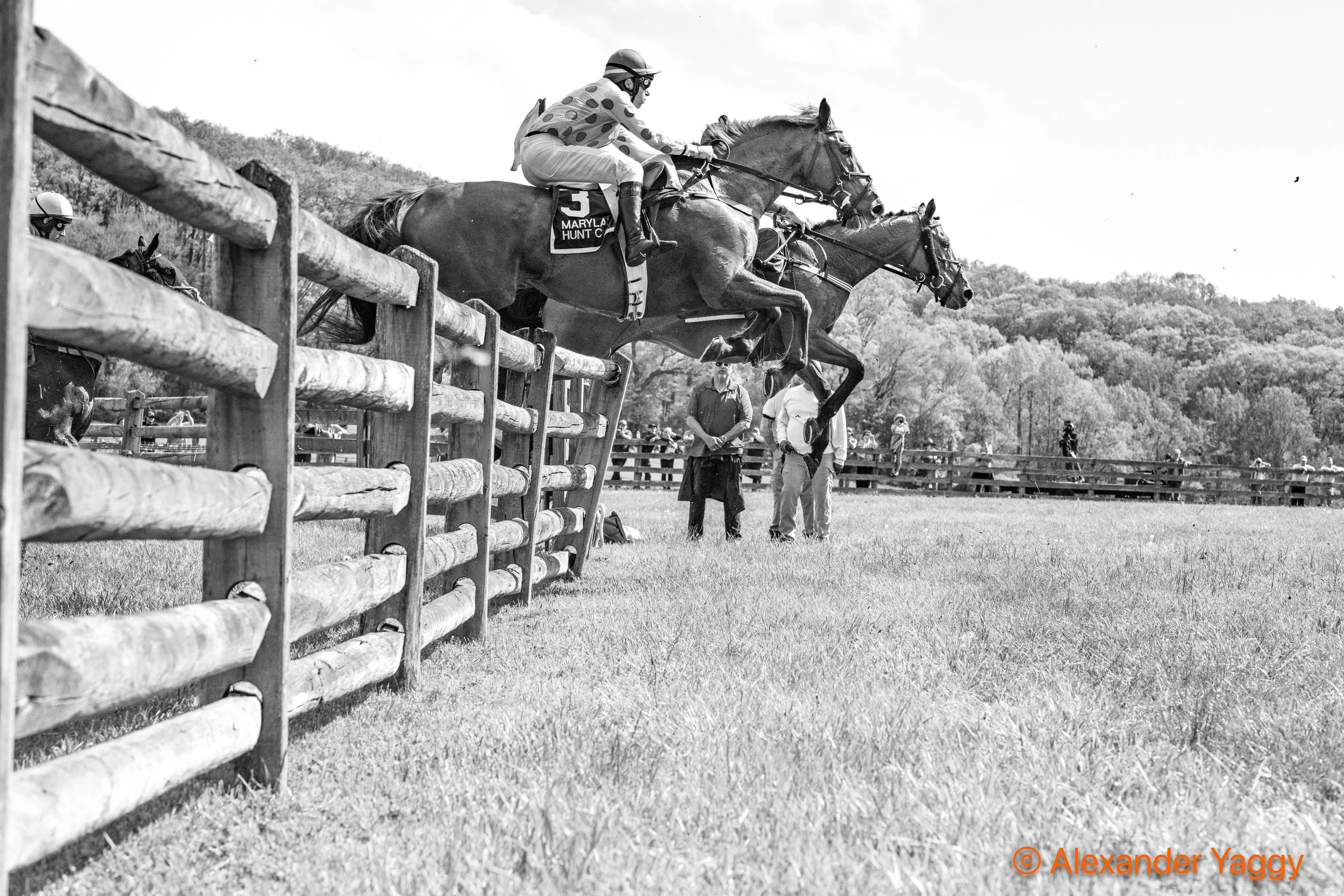 MD Hunt Cup 2025-52.jpg