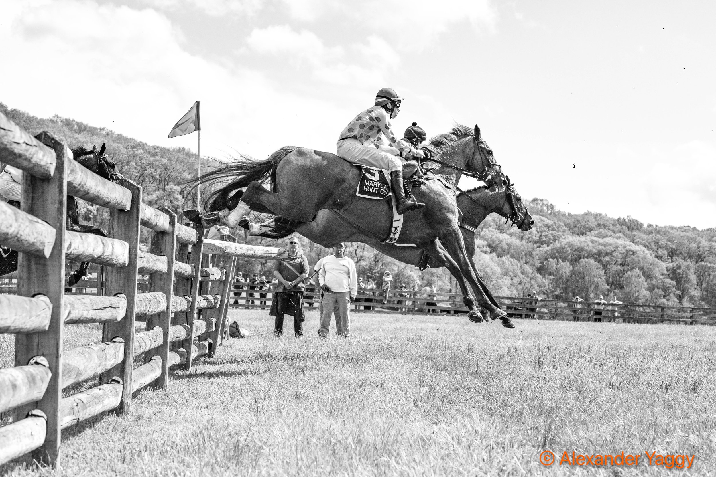 MD Hunt Cup 2025-53.jpg