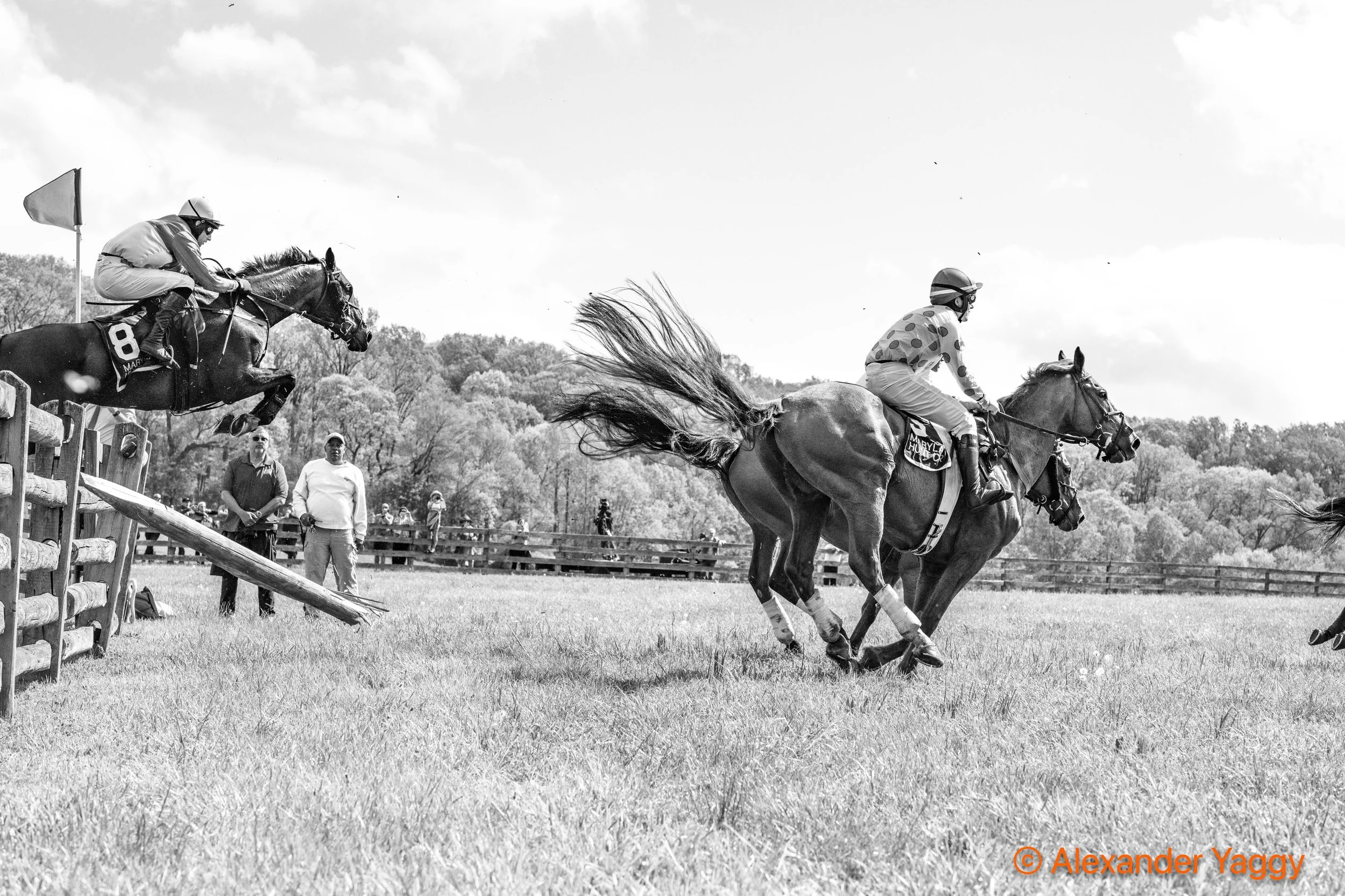 MD Hunt Cup 2025-55.jpg