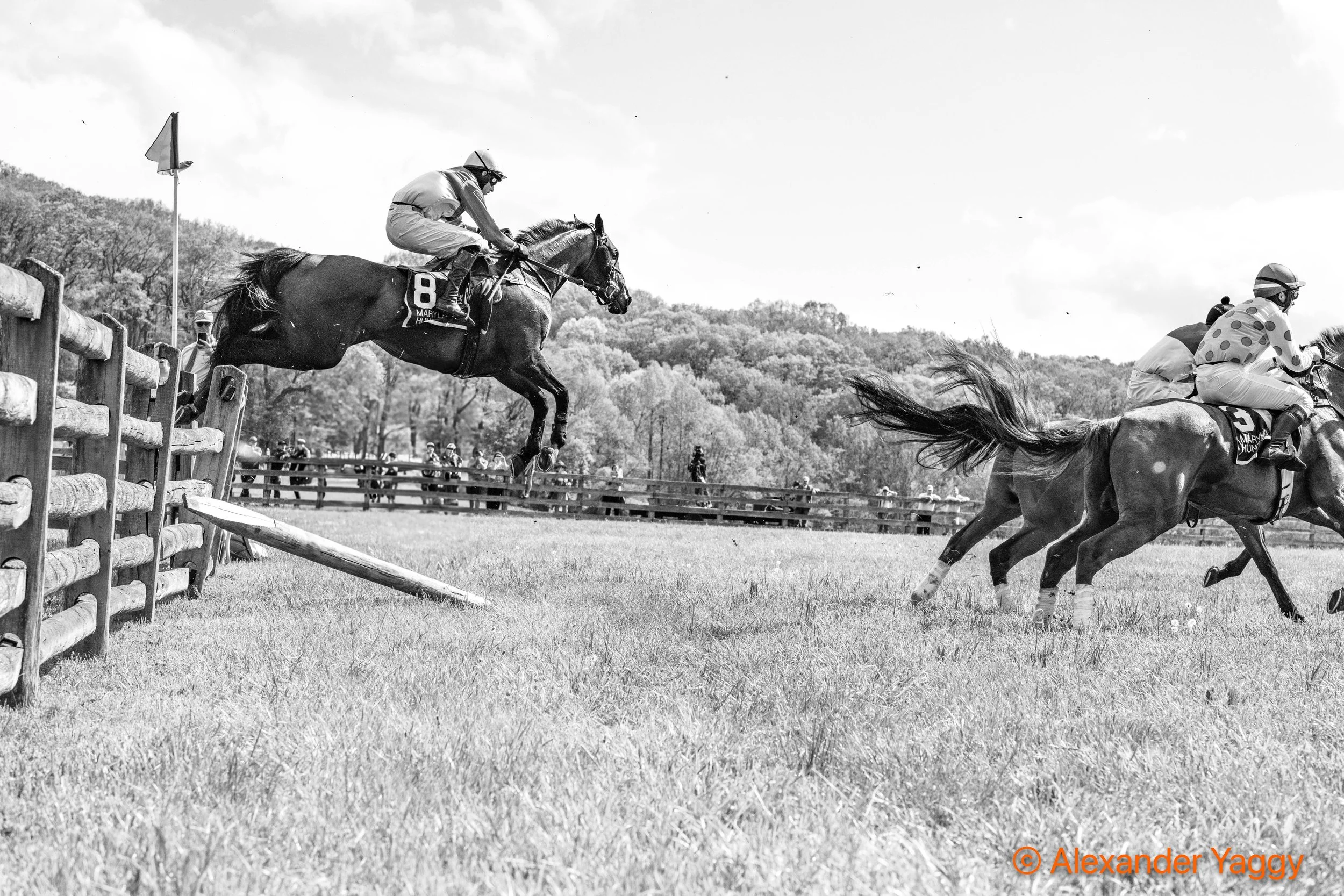 MD Hunt Cup 2025-56.jpg