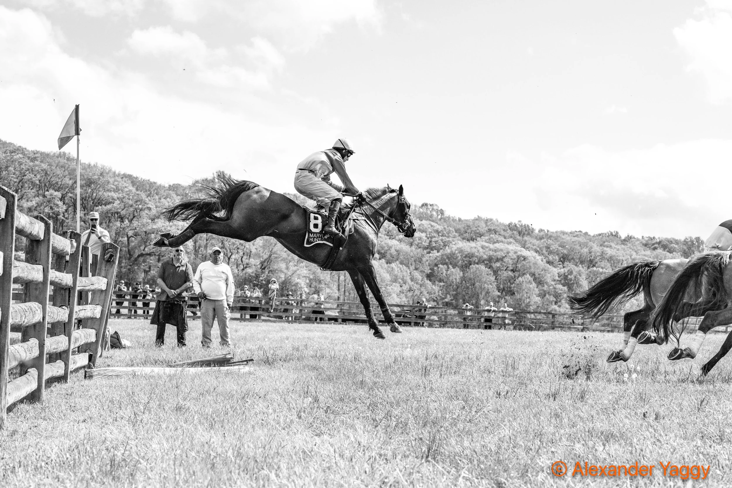 MD Hunt Cup 2025-57.jpg