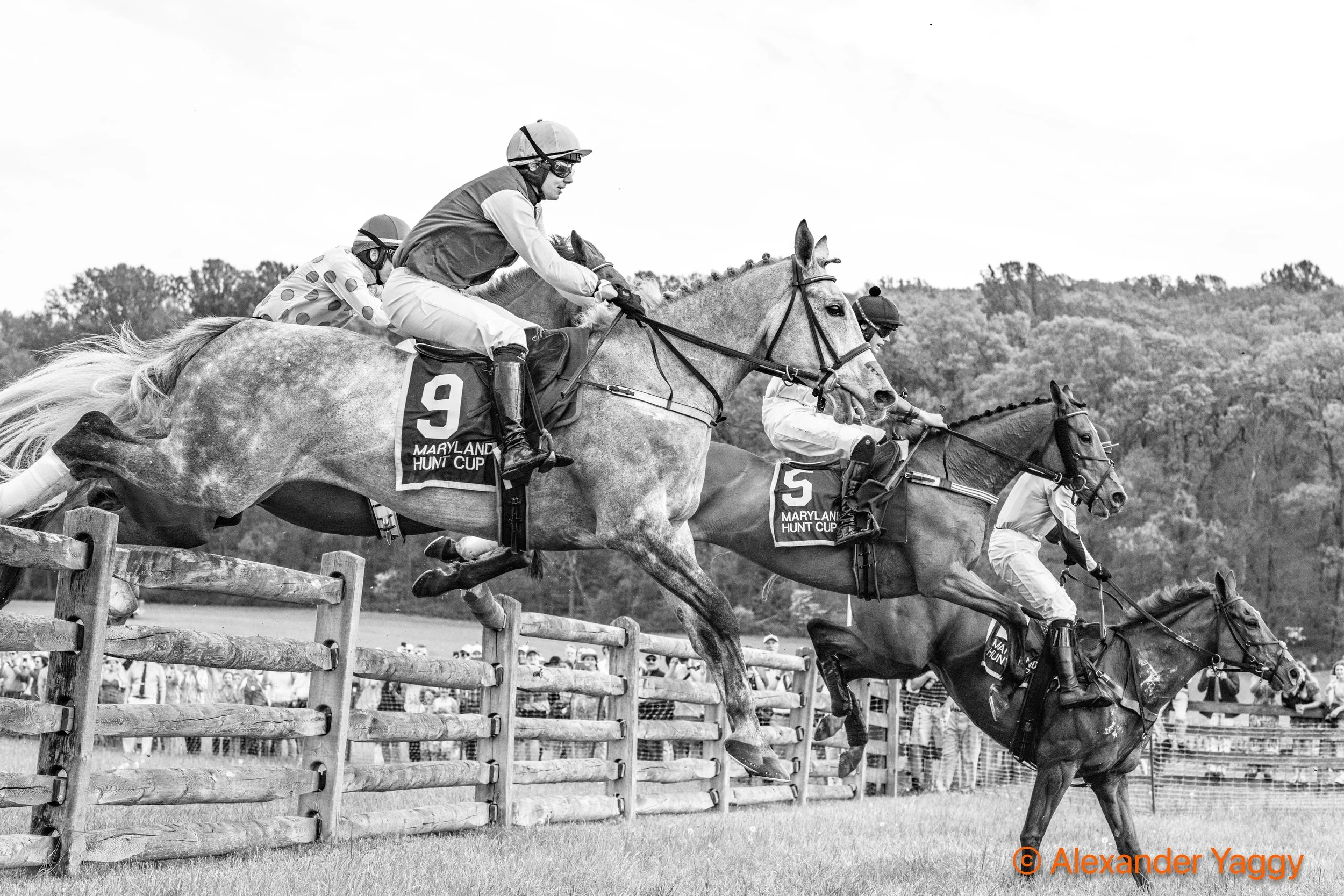 MD Hunt Cup 2025-43.jpg