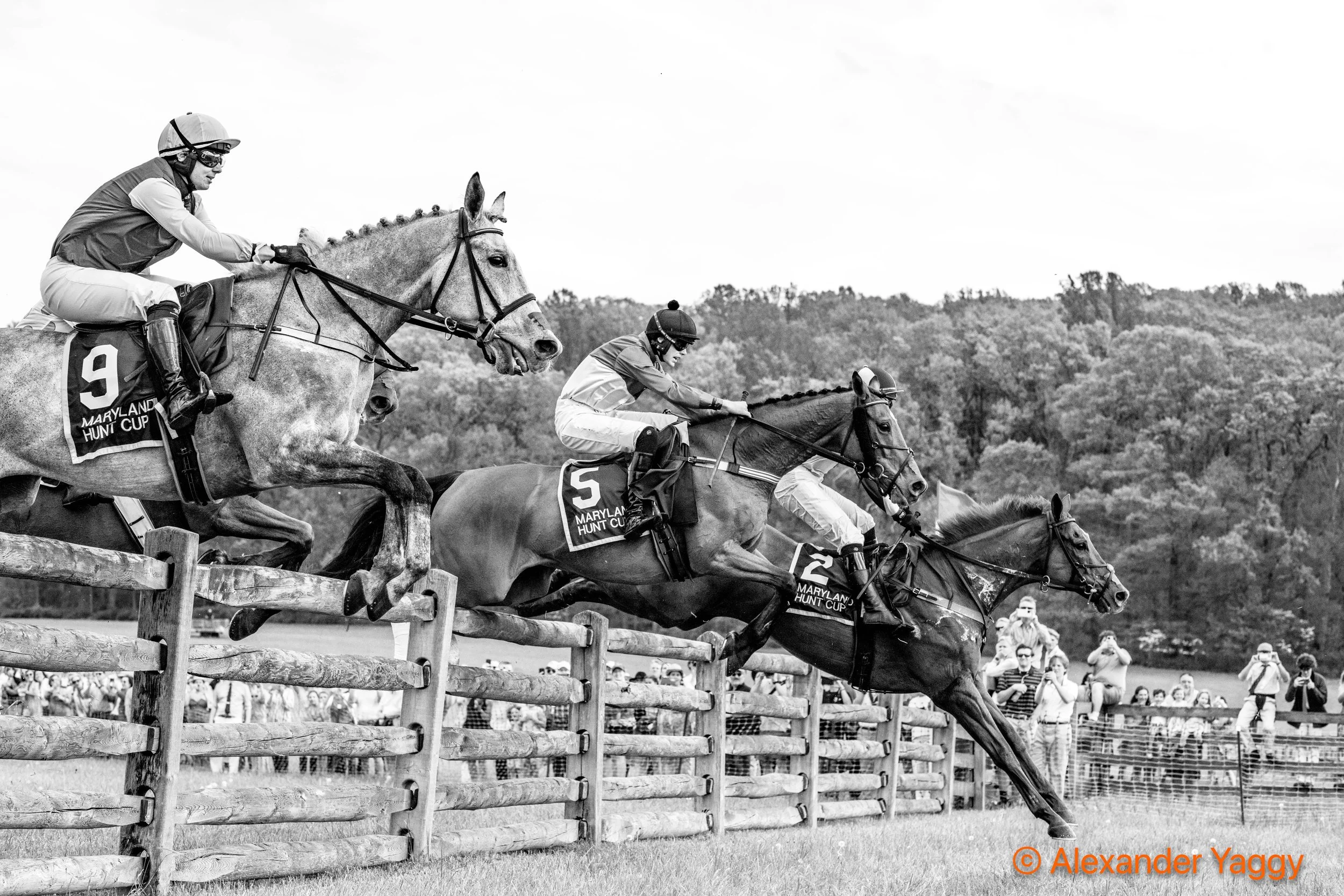 MD Hunt Cup 2025-42.jpg