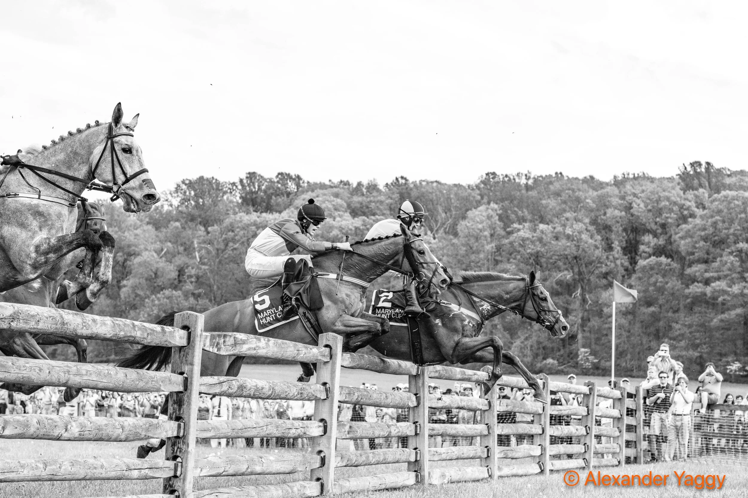 MD Hunt Cup 2025_3rd-5.jpg