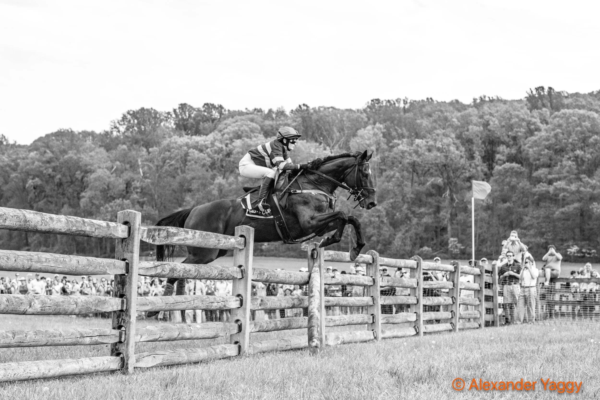 MD Hunt Cup 2025_3rd-7.jpg