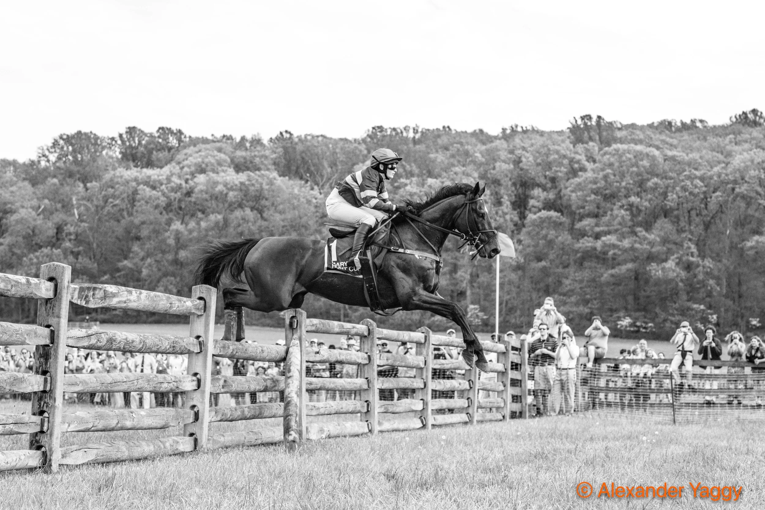 MD Hunt Cup 2025_3rd-8.jpg