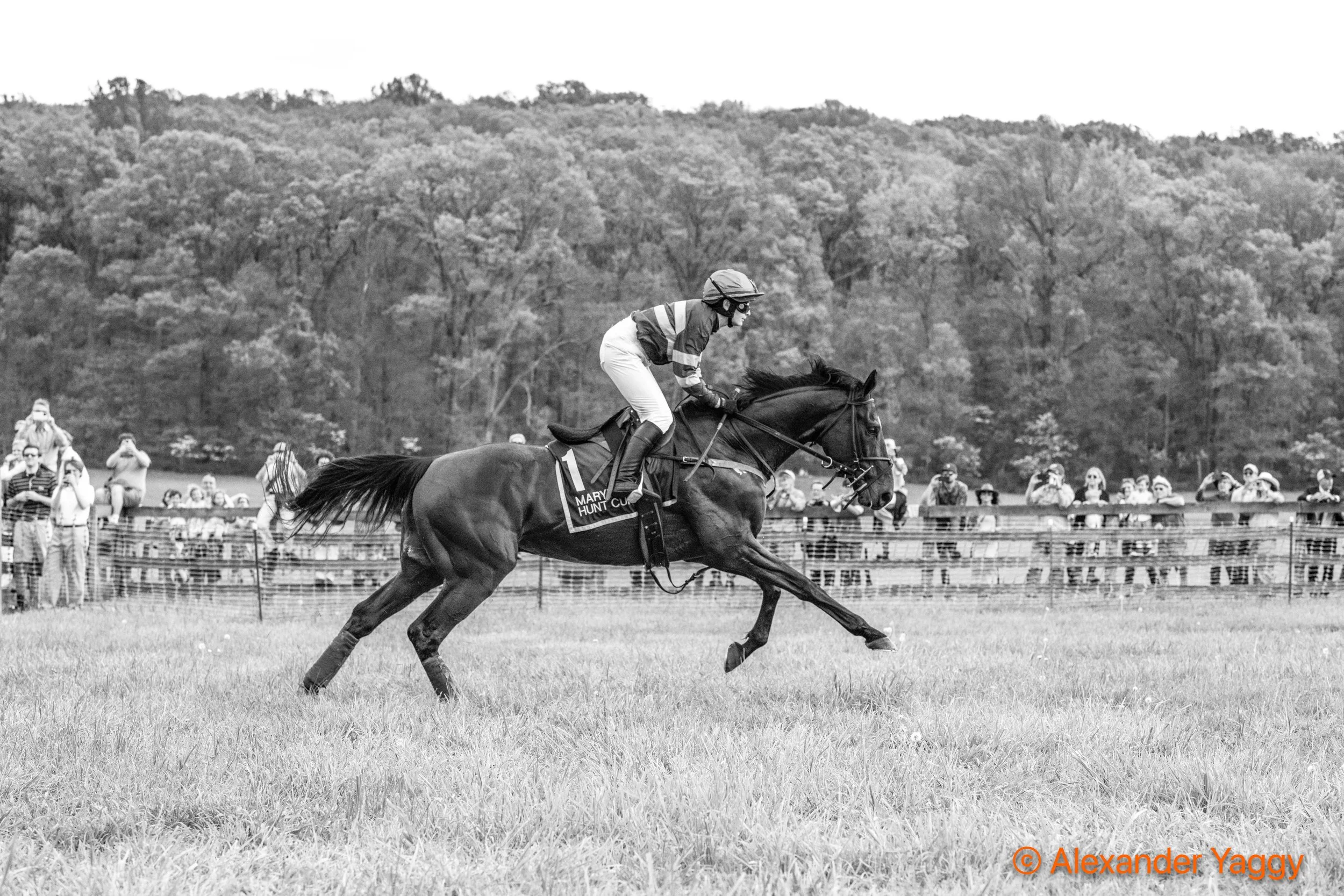 MD Hunt Cup 2025_3rd-9.jpg