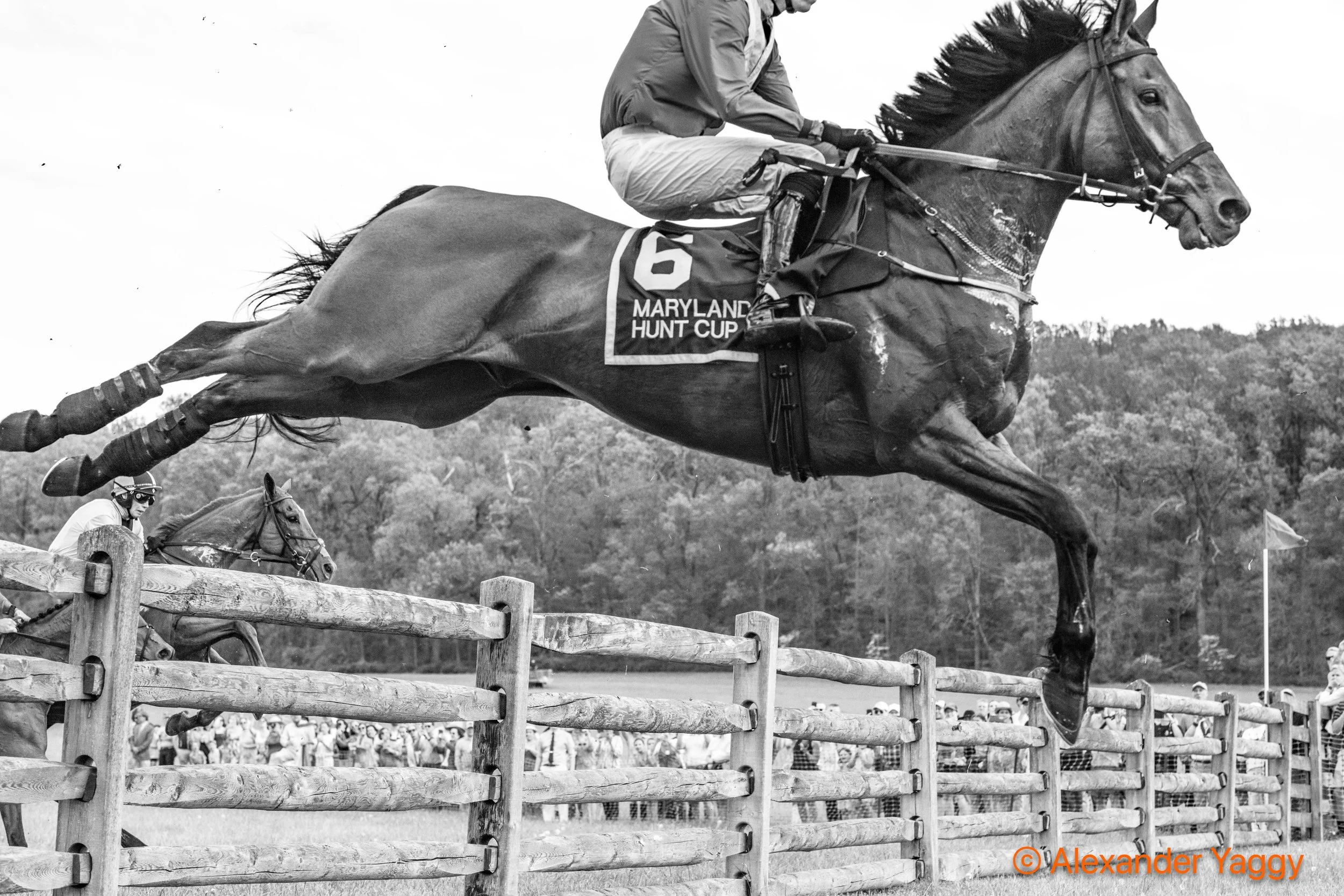 MD Hunt Cup 2025_3rd-1-2.jpg