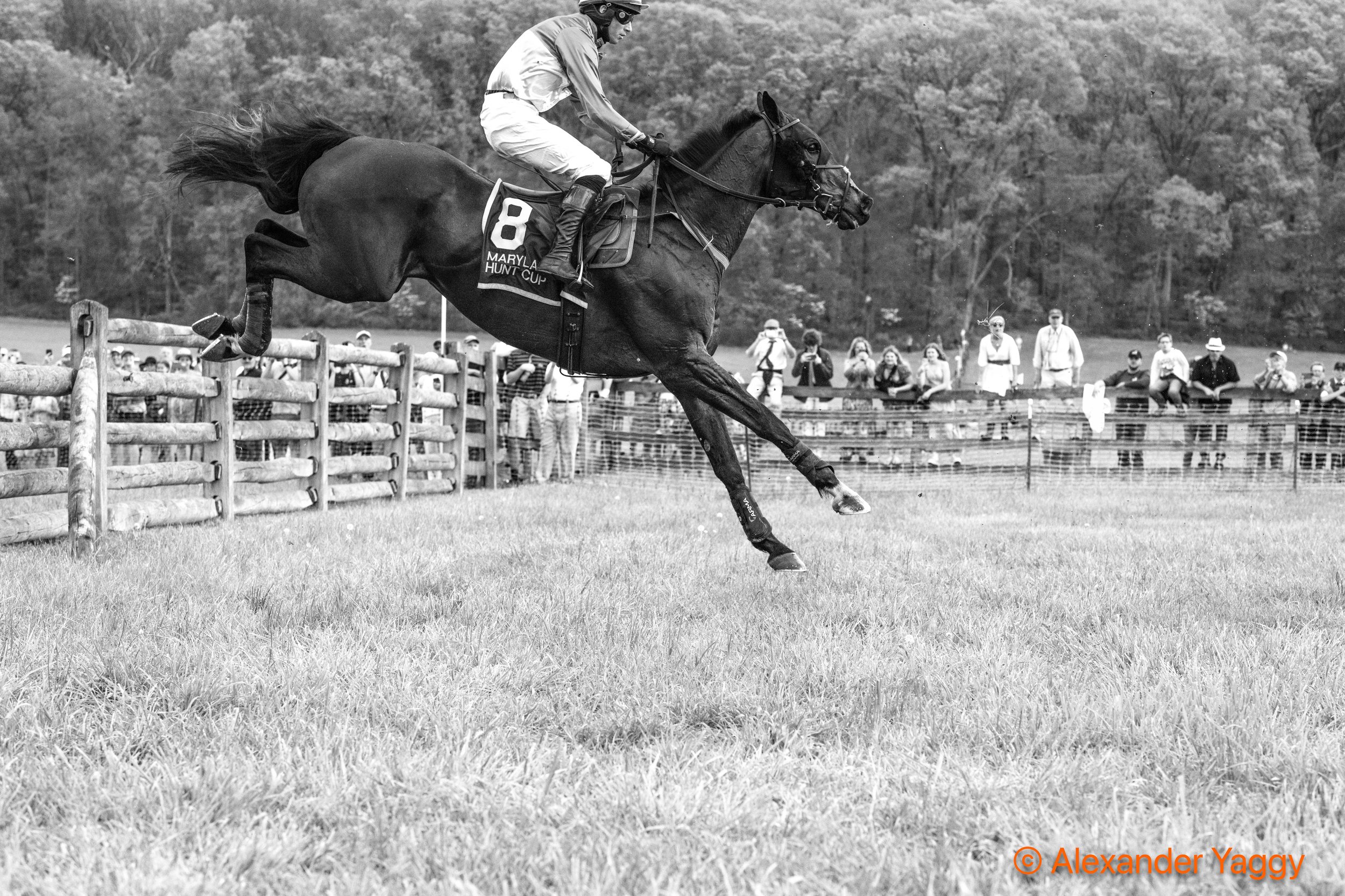 MD Hunt Cup 2025_3rd-1-3.jpg