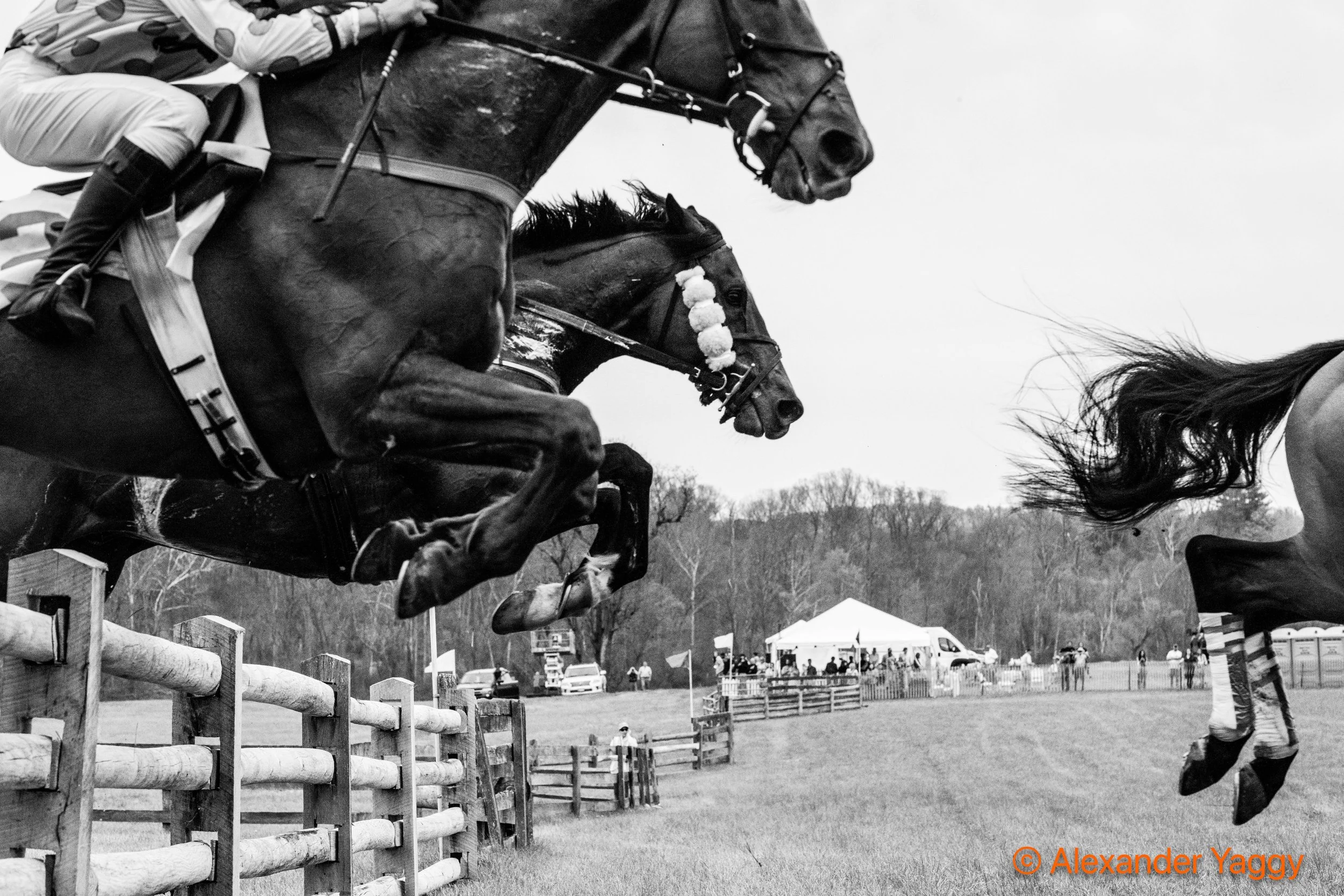 2025 Grand National Steeplechase Races