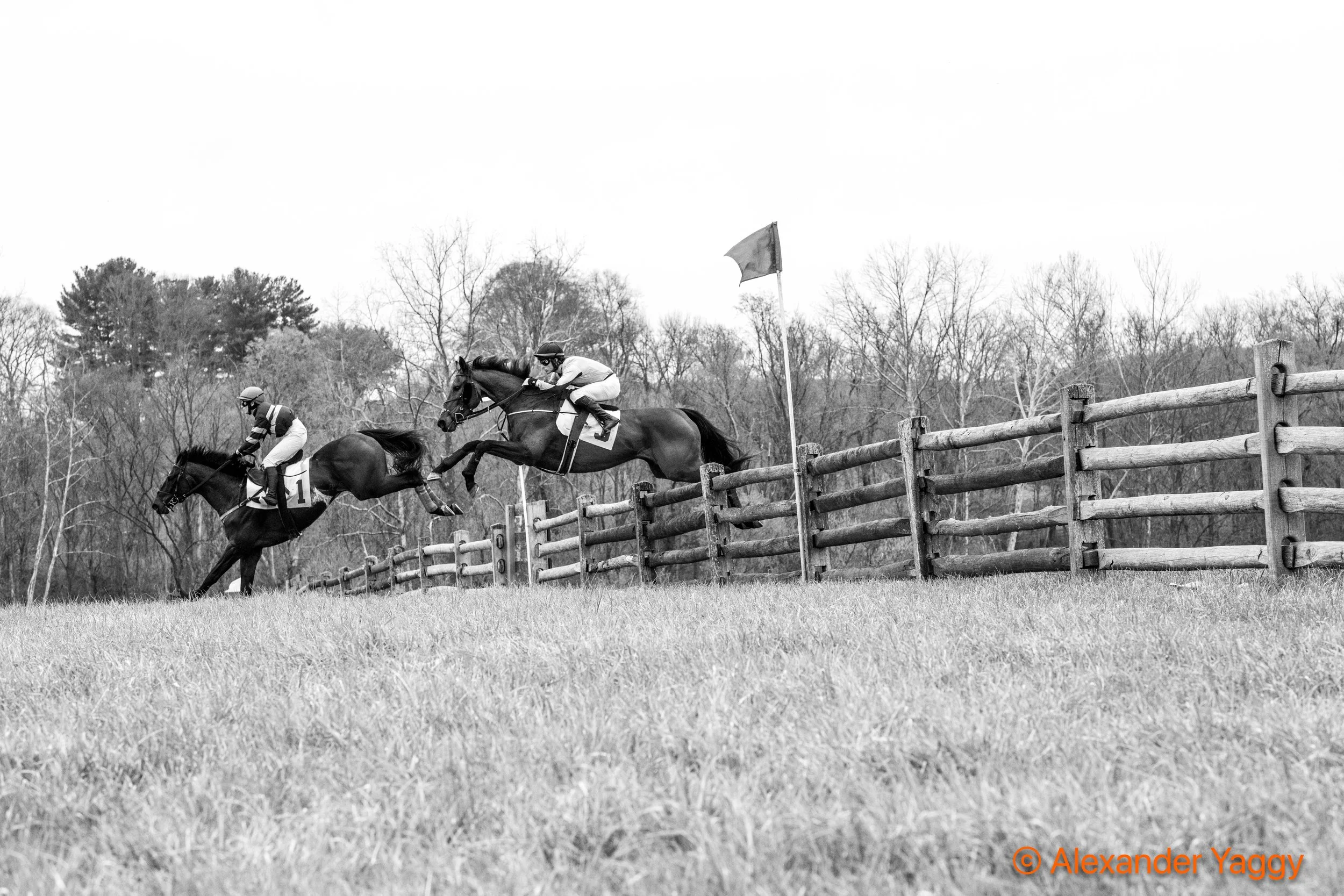 Grand National 2025-18.jpg