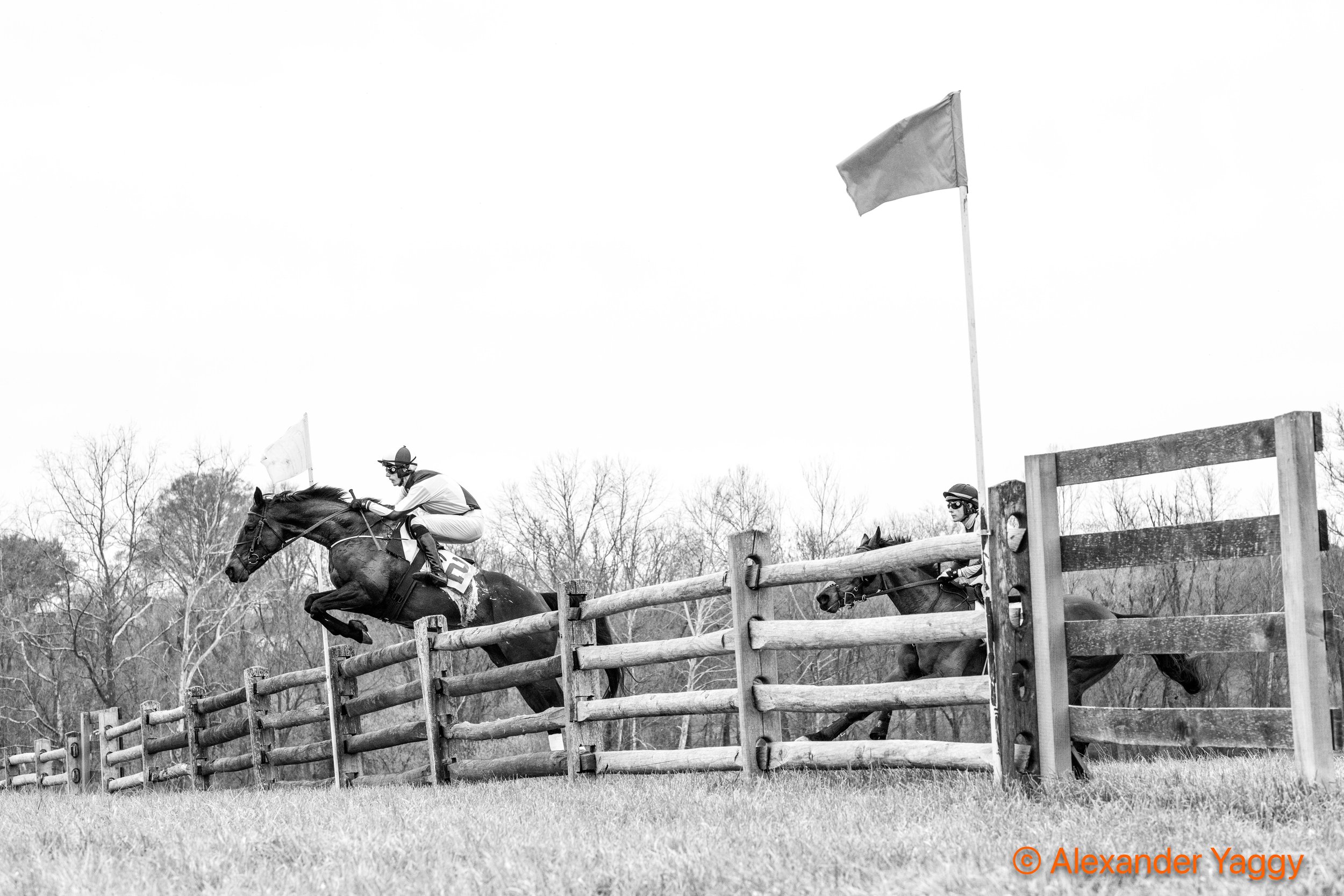 Grand National 2025-1-2.jpg