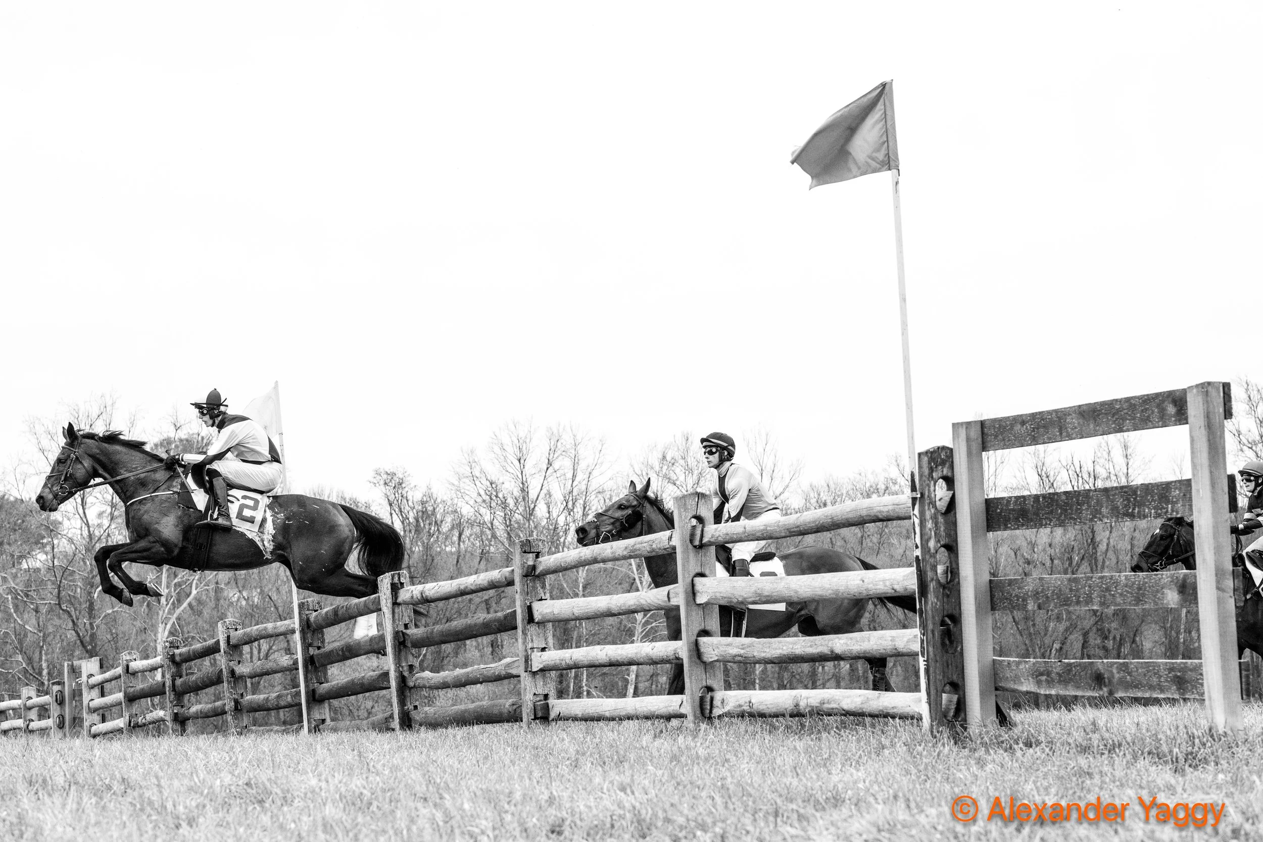 Grand National 2025-2-2.jpg